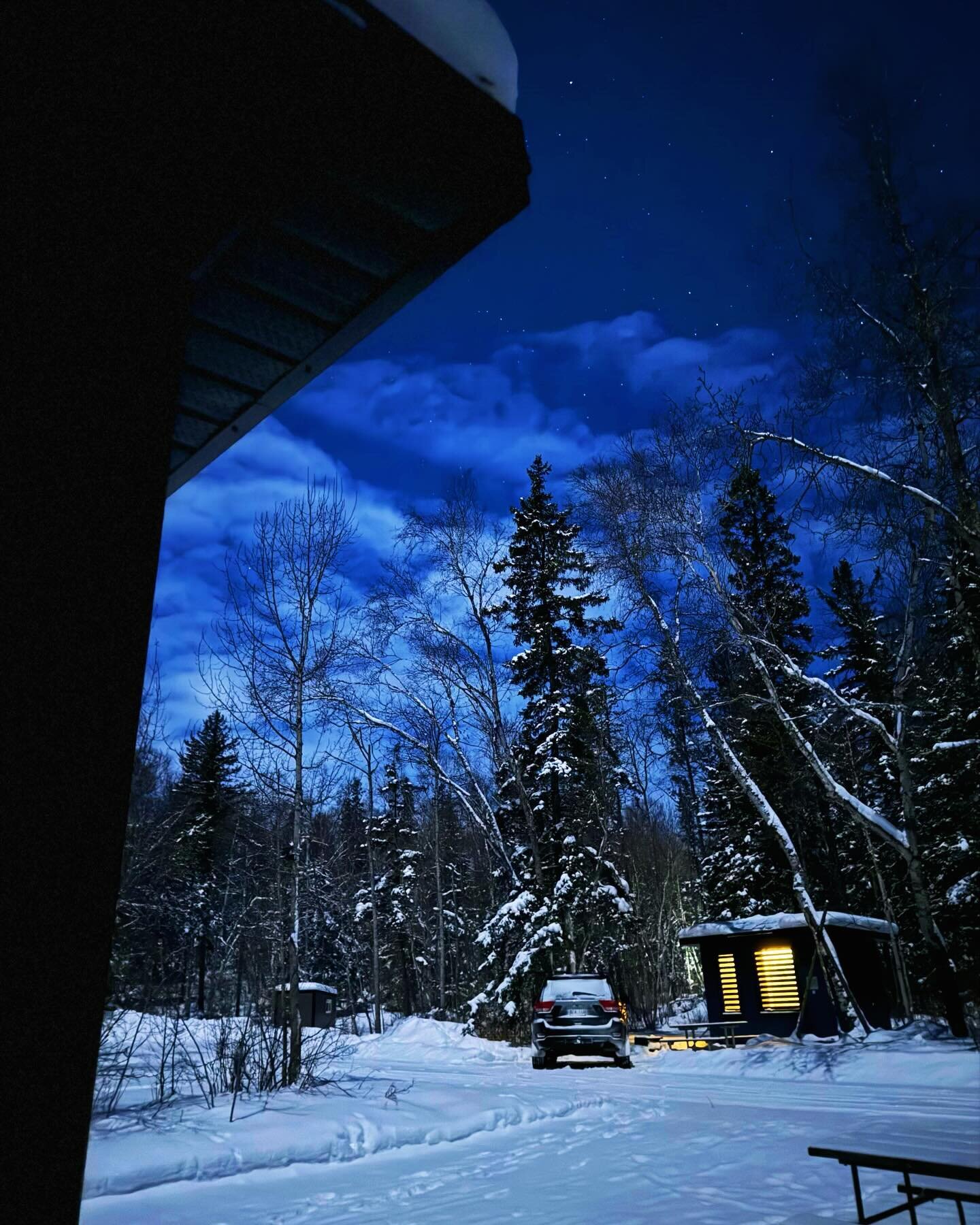 The stars
The sky
The trees
The snow 
The turtles 

🤍🩶🤍🩶

@travelmanitoba @clearlakecountry