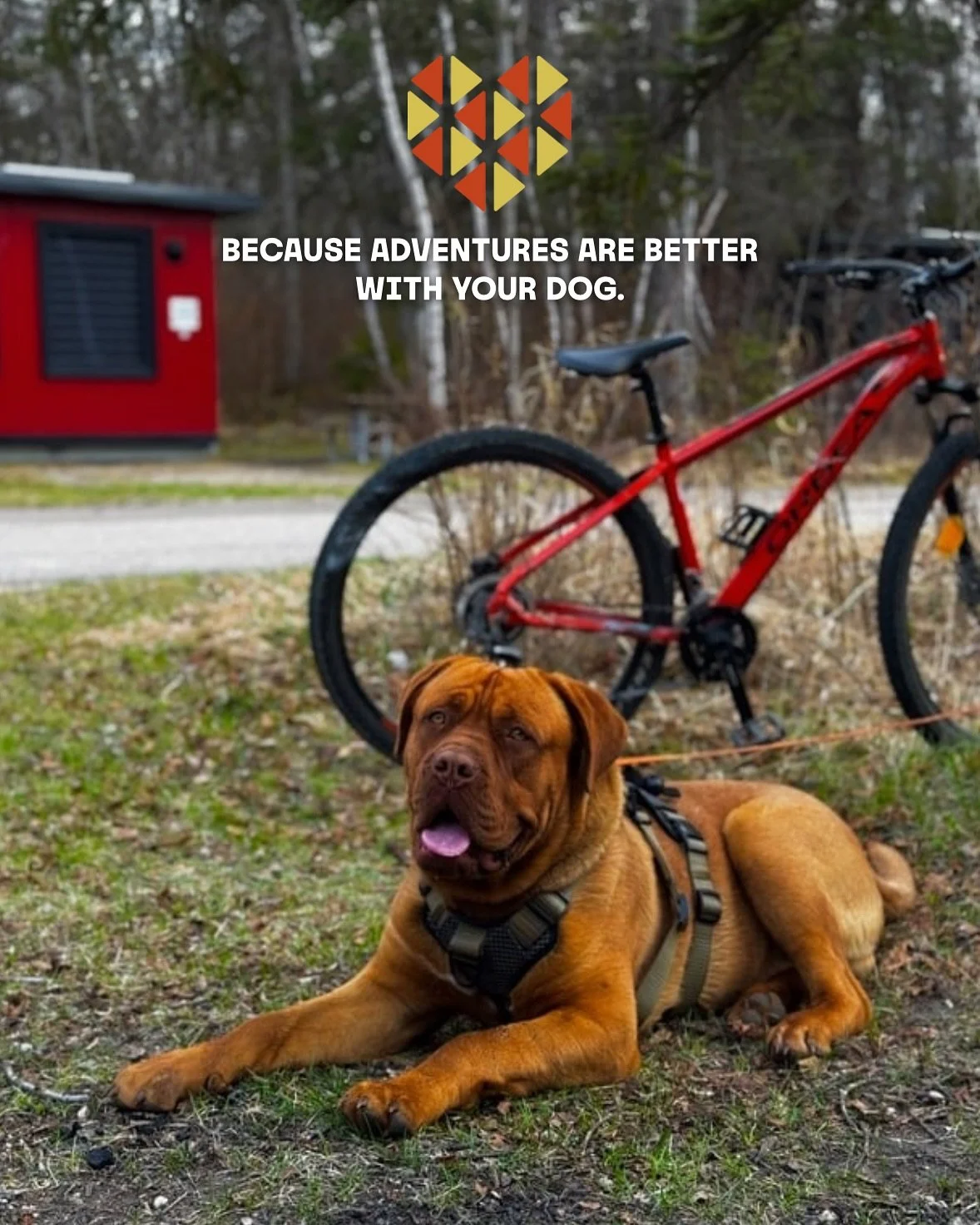 🐾 For people who don&rsquo;t leave their best friends behind.

Turtle Shells 7 &amp; 8 are Dog Friendly!

Here&rsquo;s what your dog&rsquo;s dream getaway looks like:

🥾 Hike the trails near Clear Lake. (yes, leashed dogs are welcome)

🌊 Chill at 