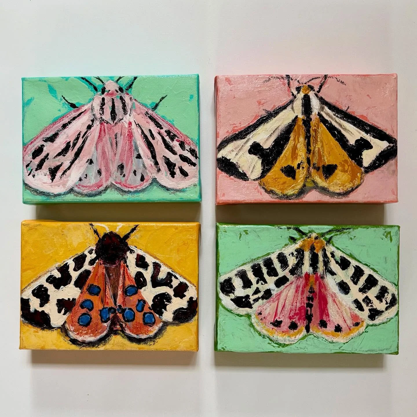 Evidently, it&rsquo;s National Moth Week. Who knew? 3 of my mini moth paintings are available at @wildoatsbillygoats 
5x7&rdquo; acrylic on canvas