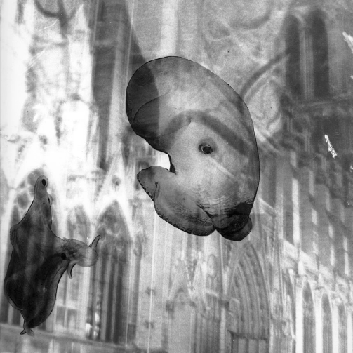 Apparition