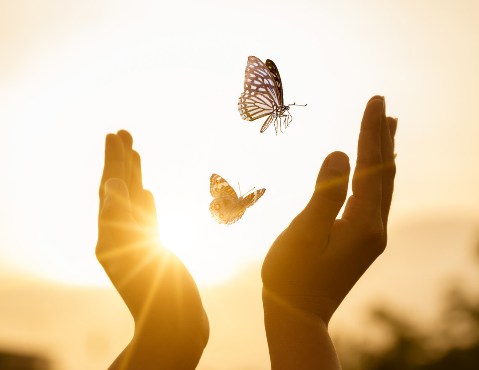 By-Donation Sound Bath: A Space of Renewal