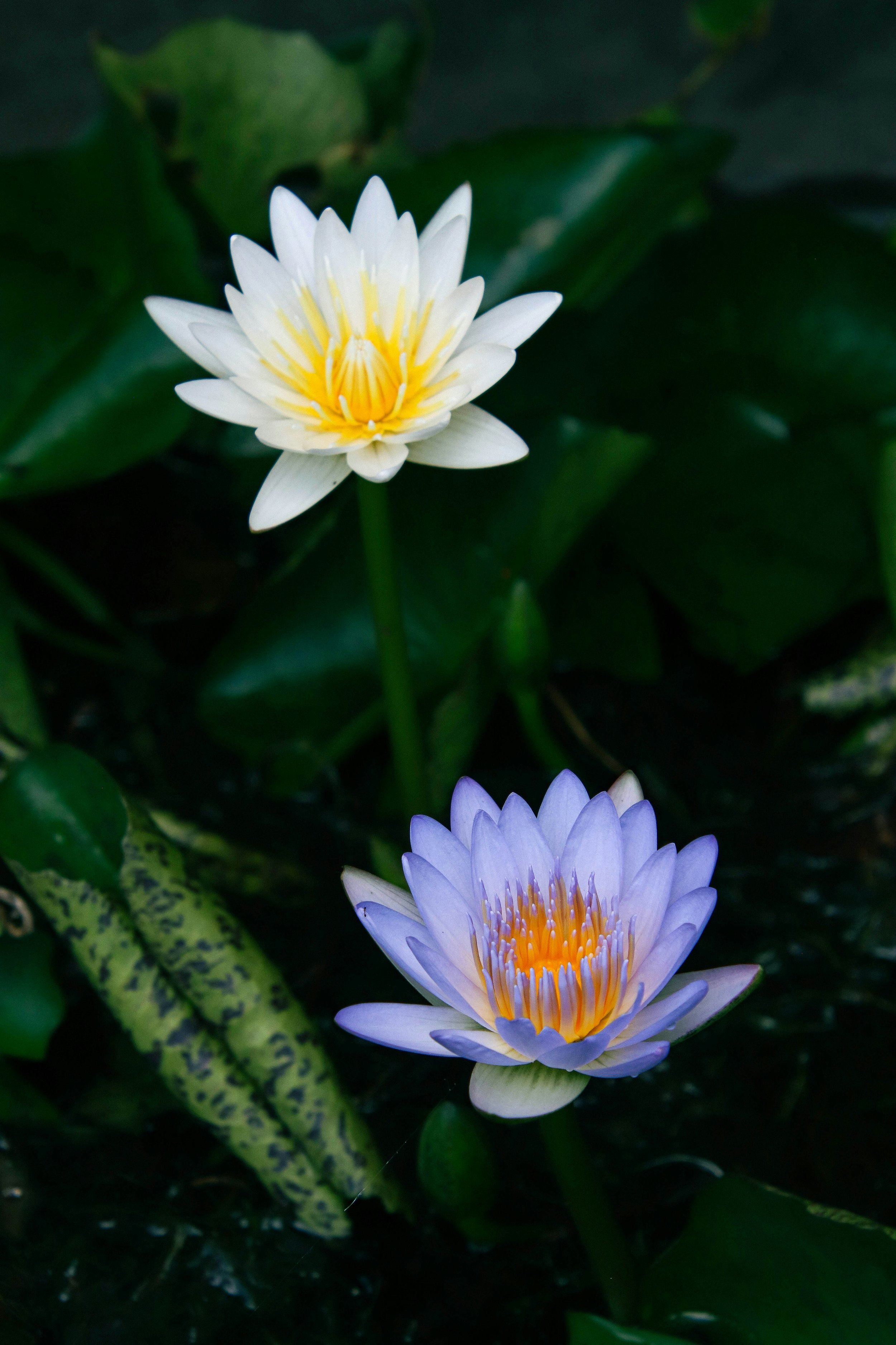 The Power of Two Sound Sound Immersion