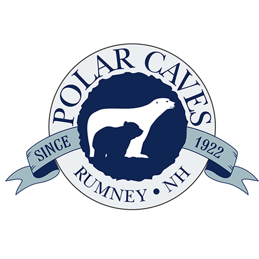 Polar-Caves-Logo.png