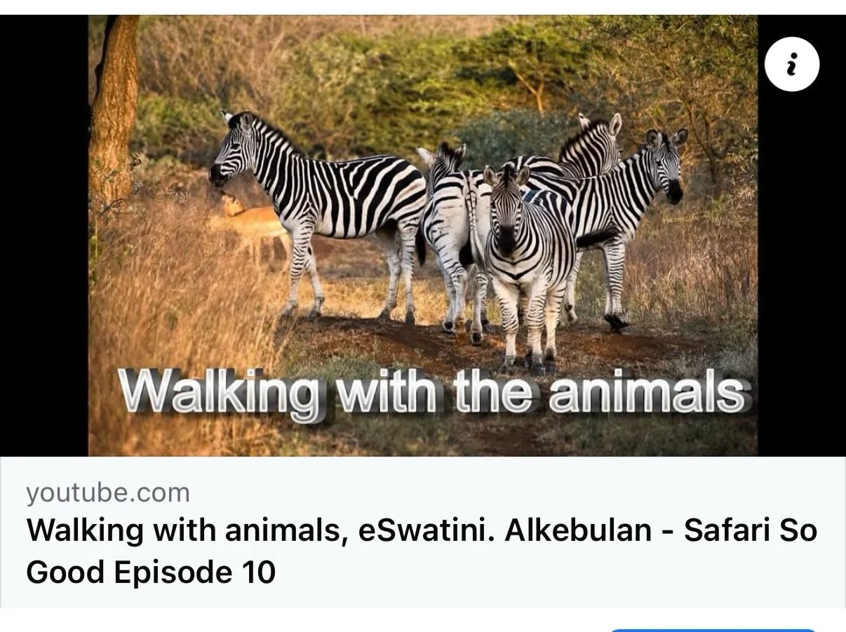 Episode 10 dropped a while ago folks. 

We returned to eSwatini and found a gem of a place. 

Enjoy! ☺️ 

Just three clicks -
👉🏻 @life2ontour 

#life2ontour #eswatini #africa #zebra #giraffe