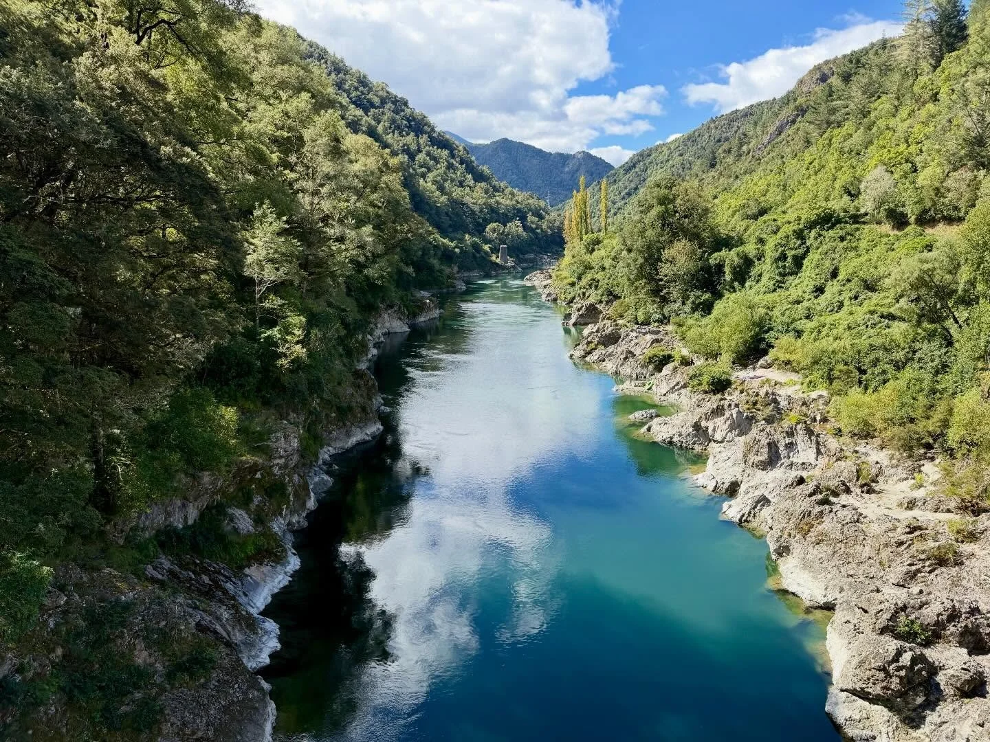 From Marlborough to the West Coast turned into a bit of an unexpected alcoholic journey&hellip; riding through the Wairau Valley and recognising all those familiar Sauvignon Blanc names we&rsquo;d happily supported back in the UK 🍷. Felt only right 
