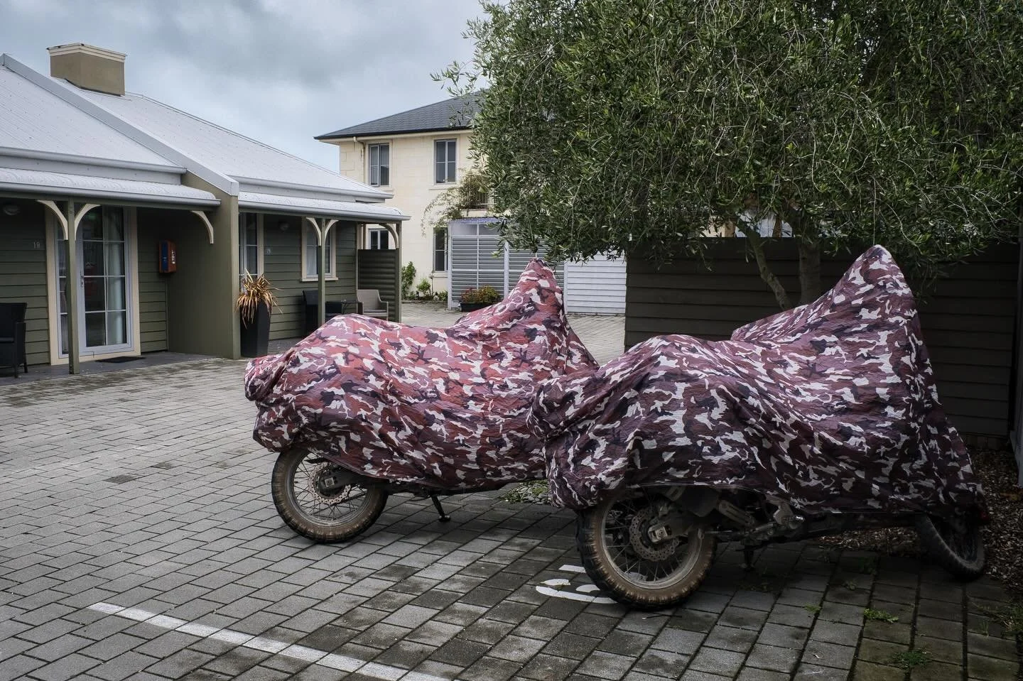 After an about turn from the menacing clouds and waiting out the weather in Oamaru, it gave us exactly what we didn&rsquo;t know we needed &mdash; rest, sea air&hellip; and a penguin we had to earn.

We holed up in a cracking little motel just outsid