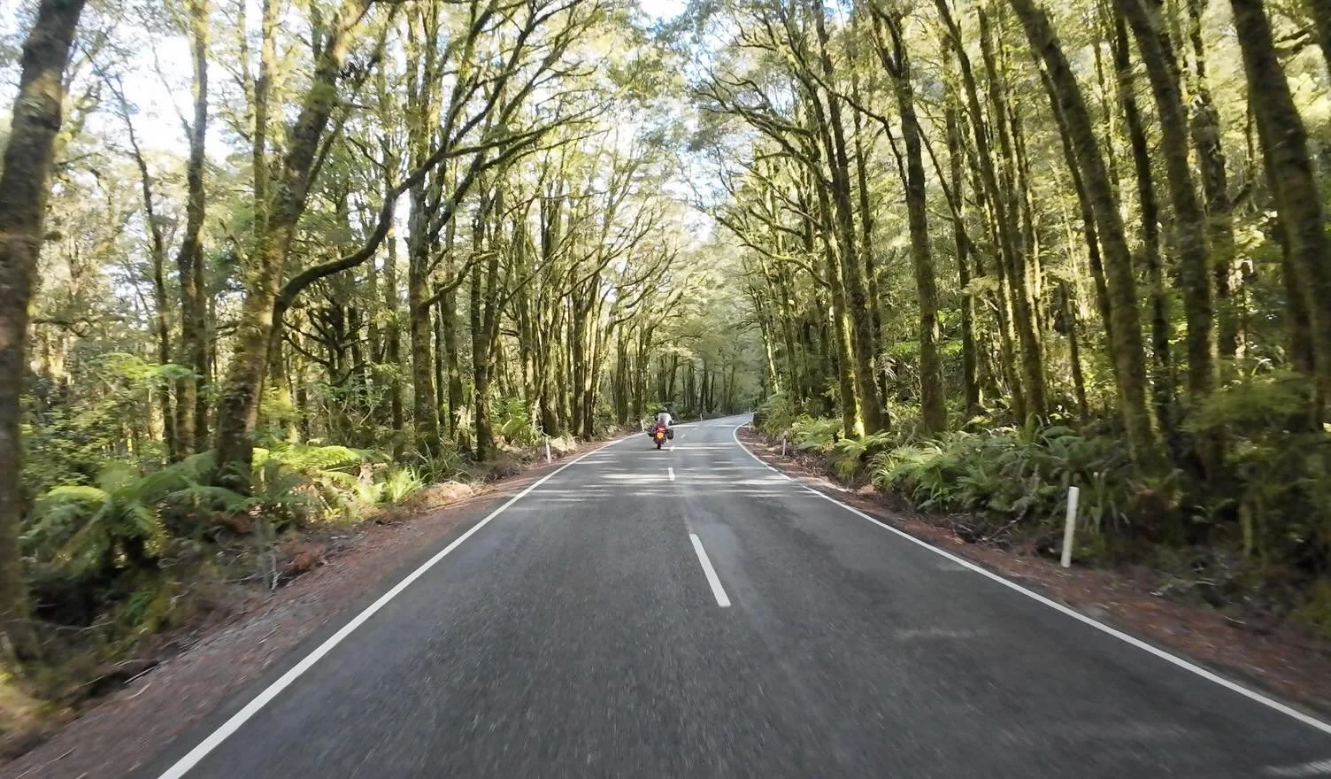 Everyone told us we had to leave for Milford Sound before dawn to beat the traffic and the tour coaches.

Before dawn? Absolutely not.

So we rolled out of Te Anau after 9am instead, fully expecting chaos. Turns out New Zealand &ldquo;traffic&rdquo; 