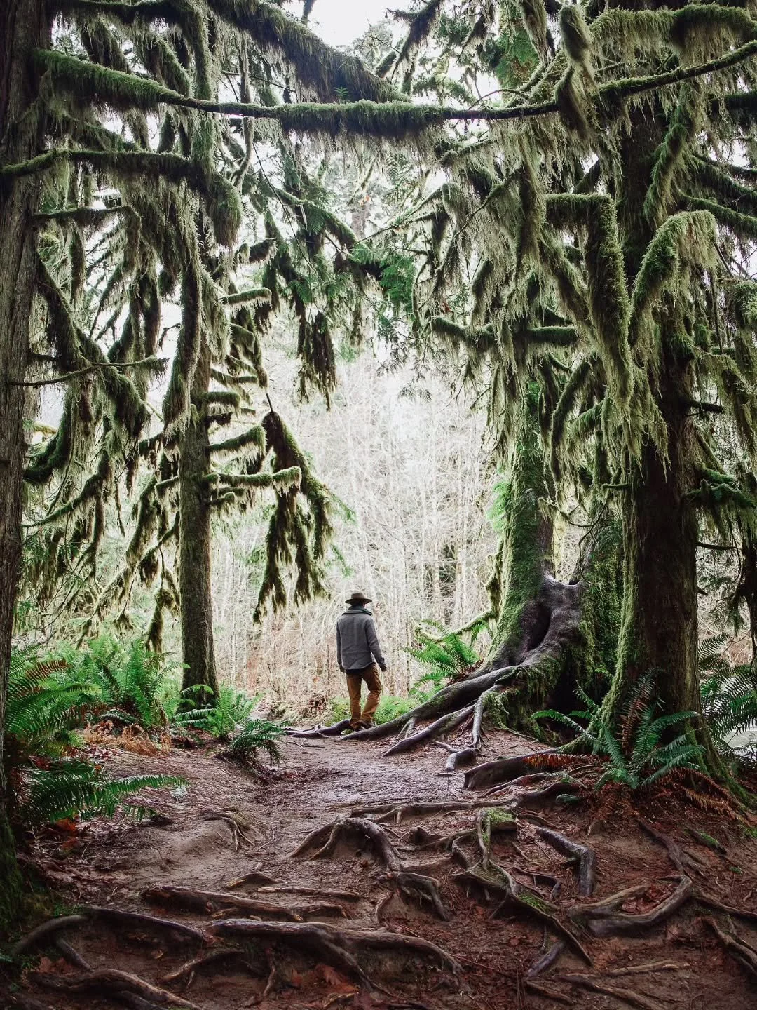 .
.
at the end of days
~ 
may we remember 
to surrender
.
all our grief 
and all our glories
all our joy
and all our pain
.
back into the greater 
body that holds us,
body that heals us,
body that made us
.
human
upon an ancient star
.
we have a plac