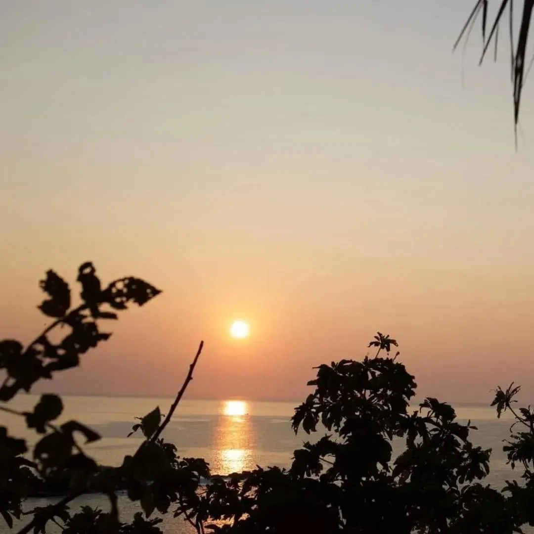 I dream 
In vivid colour
Of a wolrd 
That's just begun
.
Ritual photography muse : @akashadama 
.
#photography #sunrise #ritual #rememberance #amorebeautifulworld #movement #breath #beauty