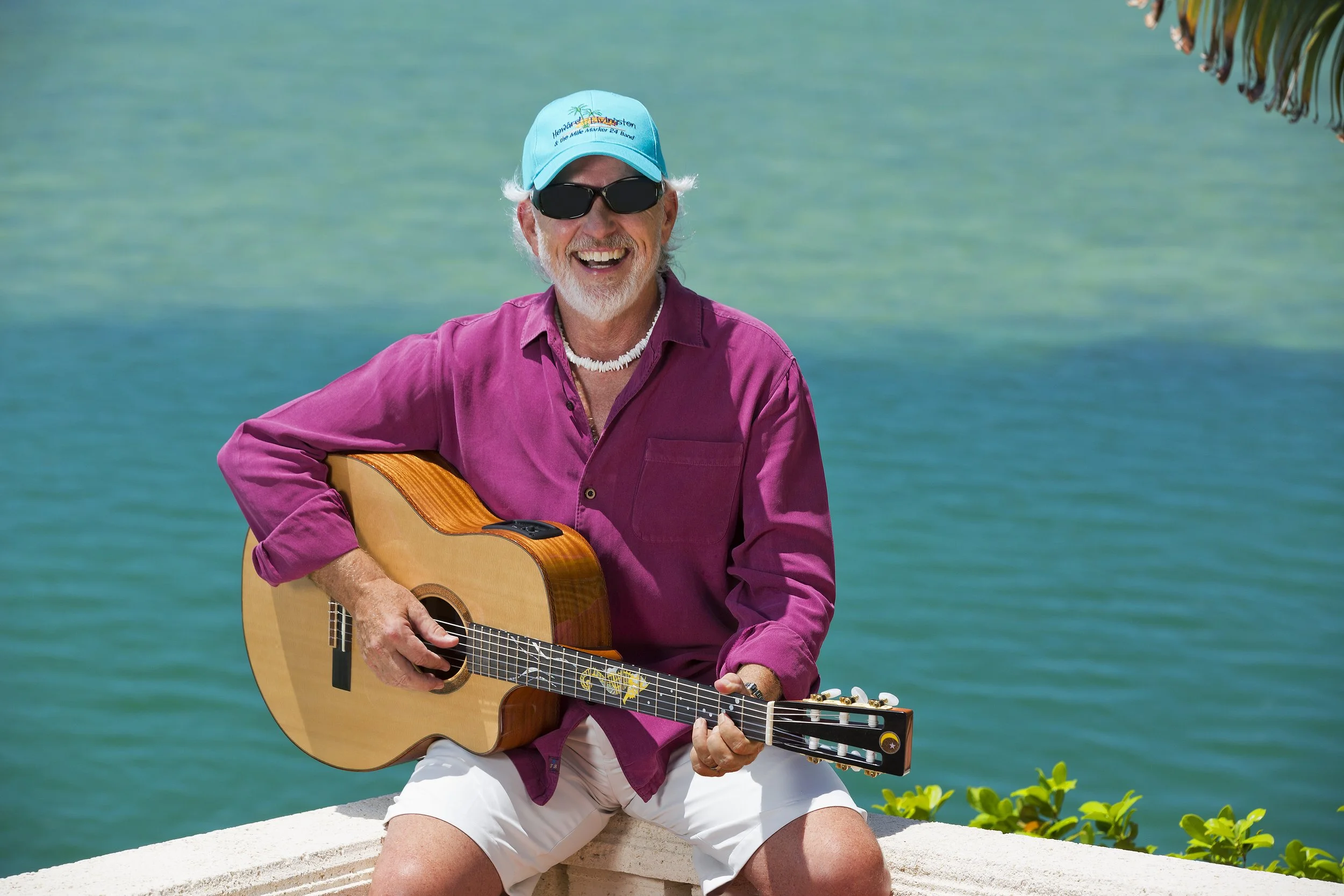 Endless Summer Fundraiser with Howard Livingston & friends