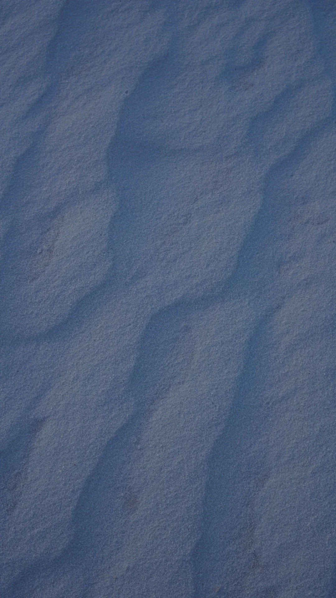 DSC00173.jpeg