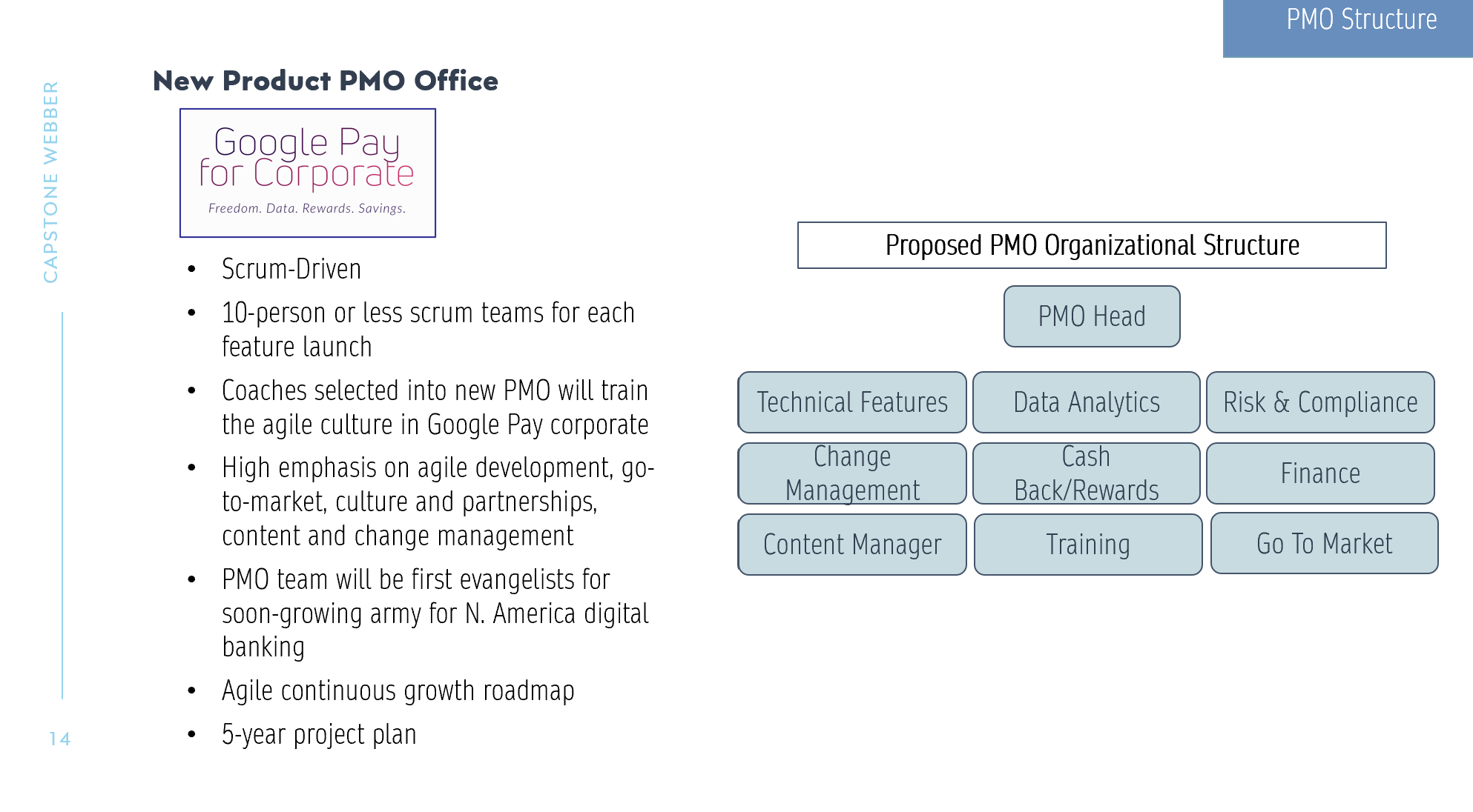 Google Pay for Corporate PMO Structure.png