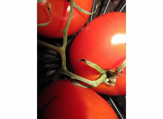 Culinary Arts Classroom Upgrades for Voorhees Regional High School