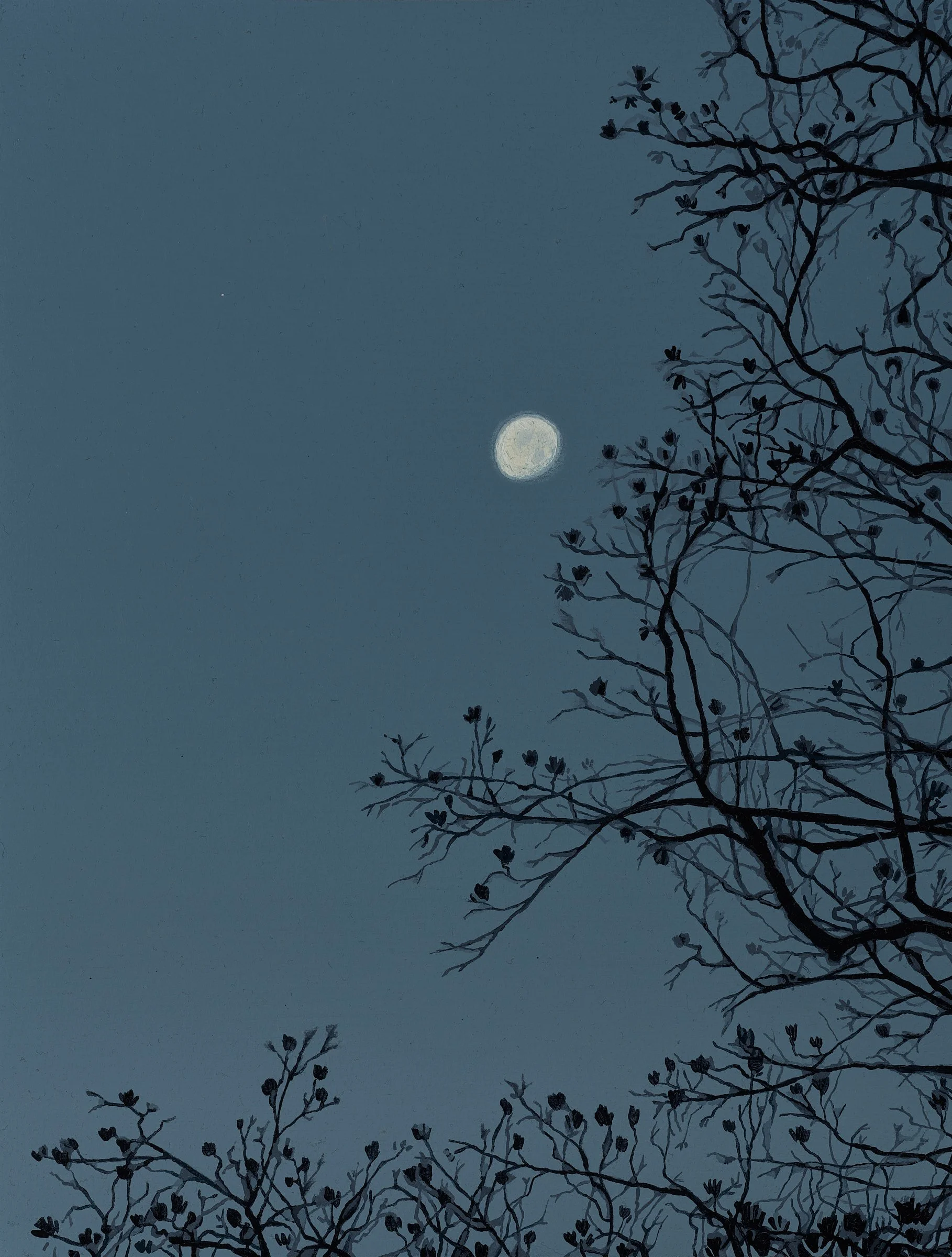 November 18th, Nightscapes Series, 2025 CaFÉ.jpg
