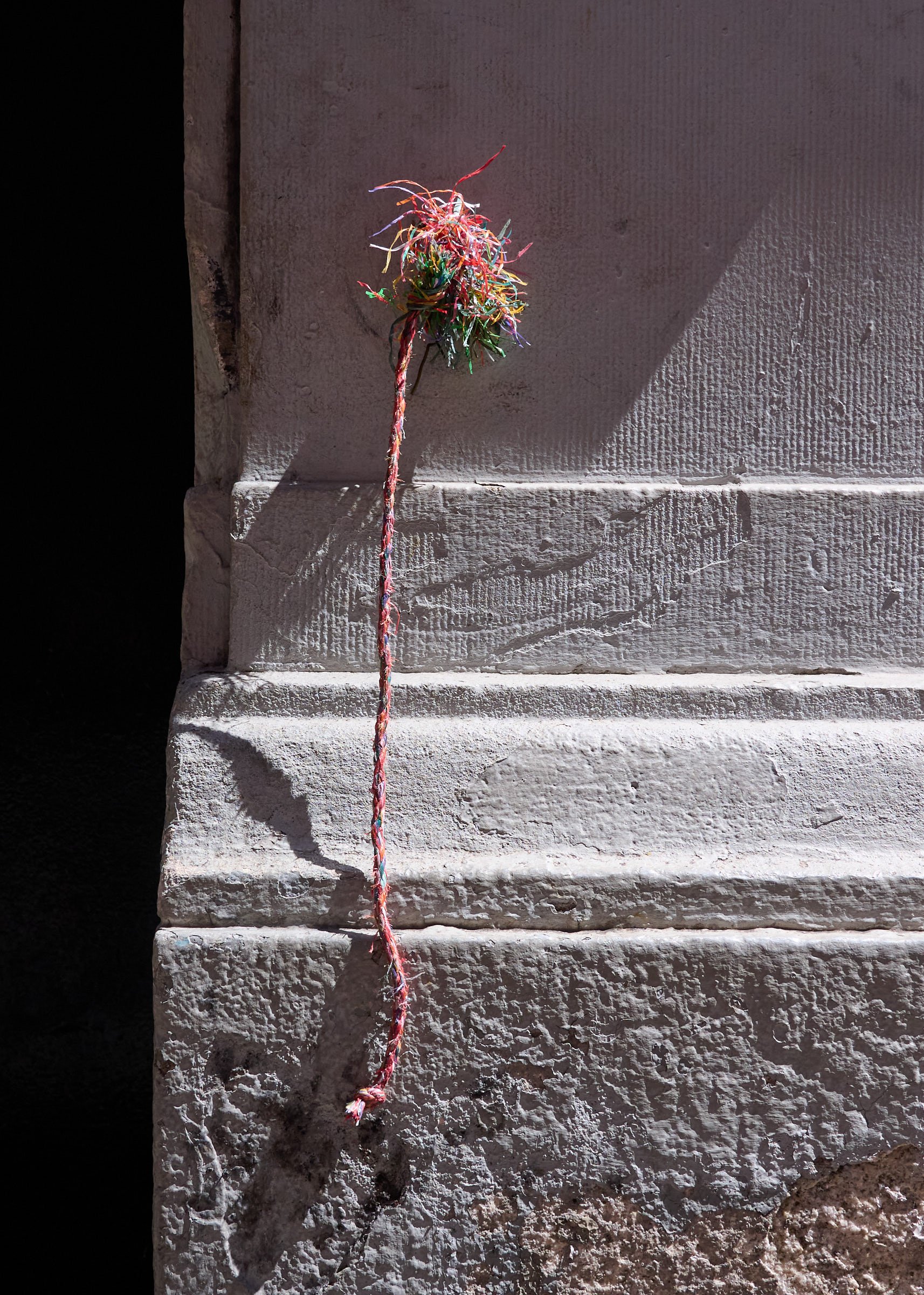 Wall Flower