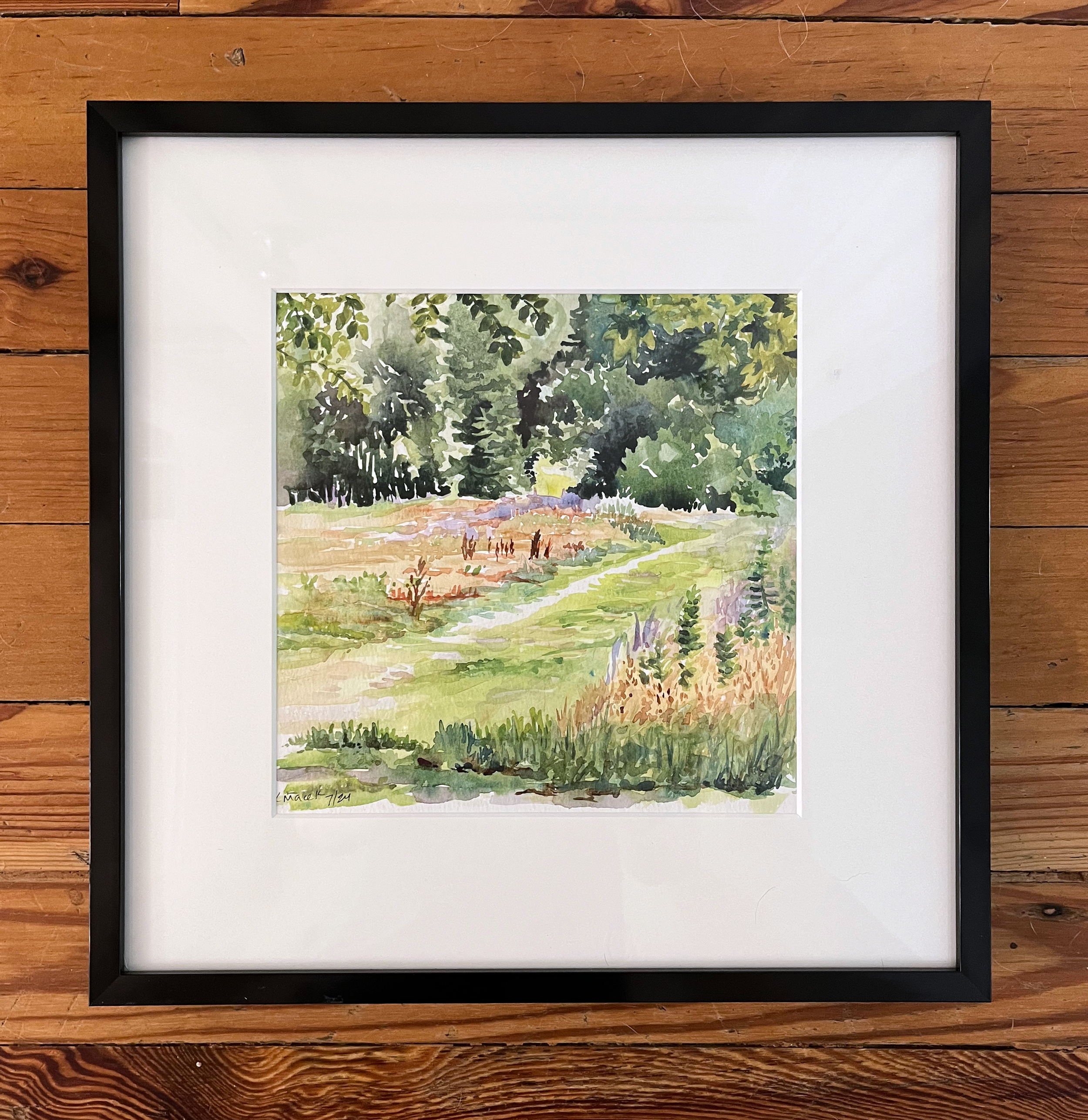 163.2024 Across the Meadow (frame).png