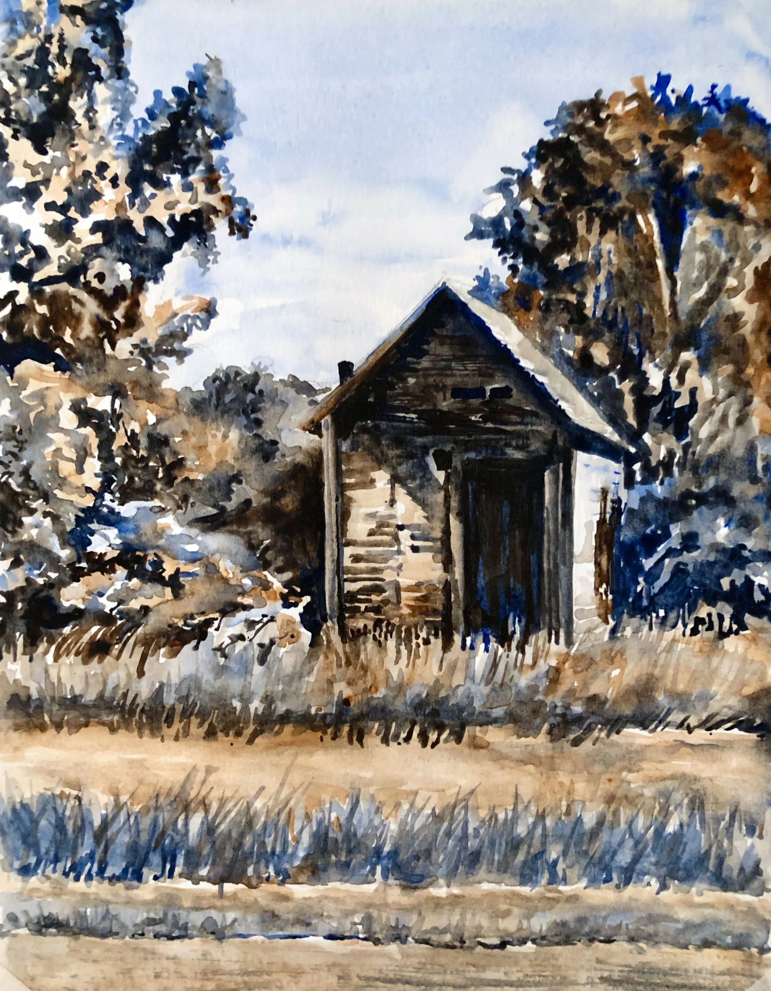 135.2023 Arcadia Shed Limited Palette.jpg