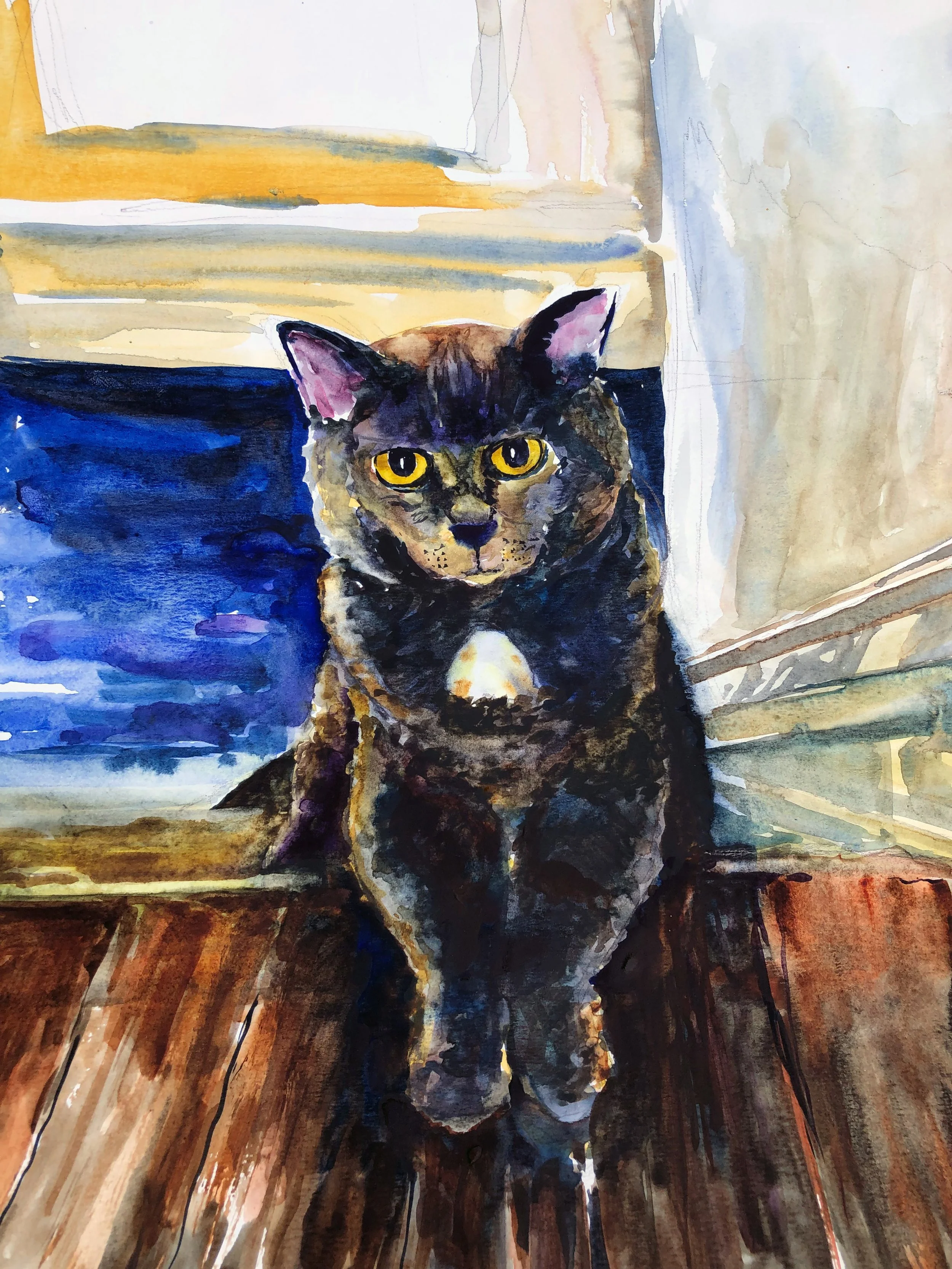 132.2022 Candy's Cat.jpg