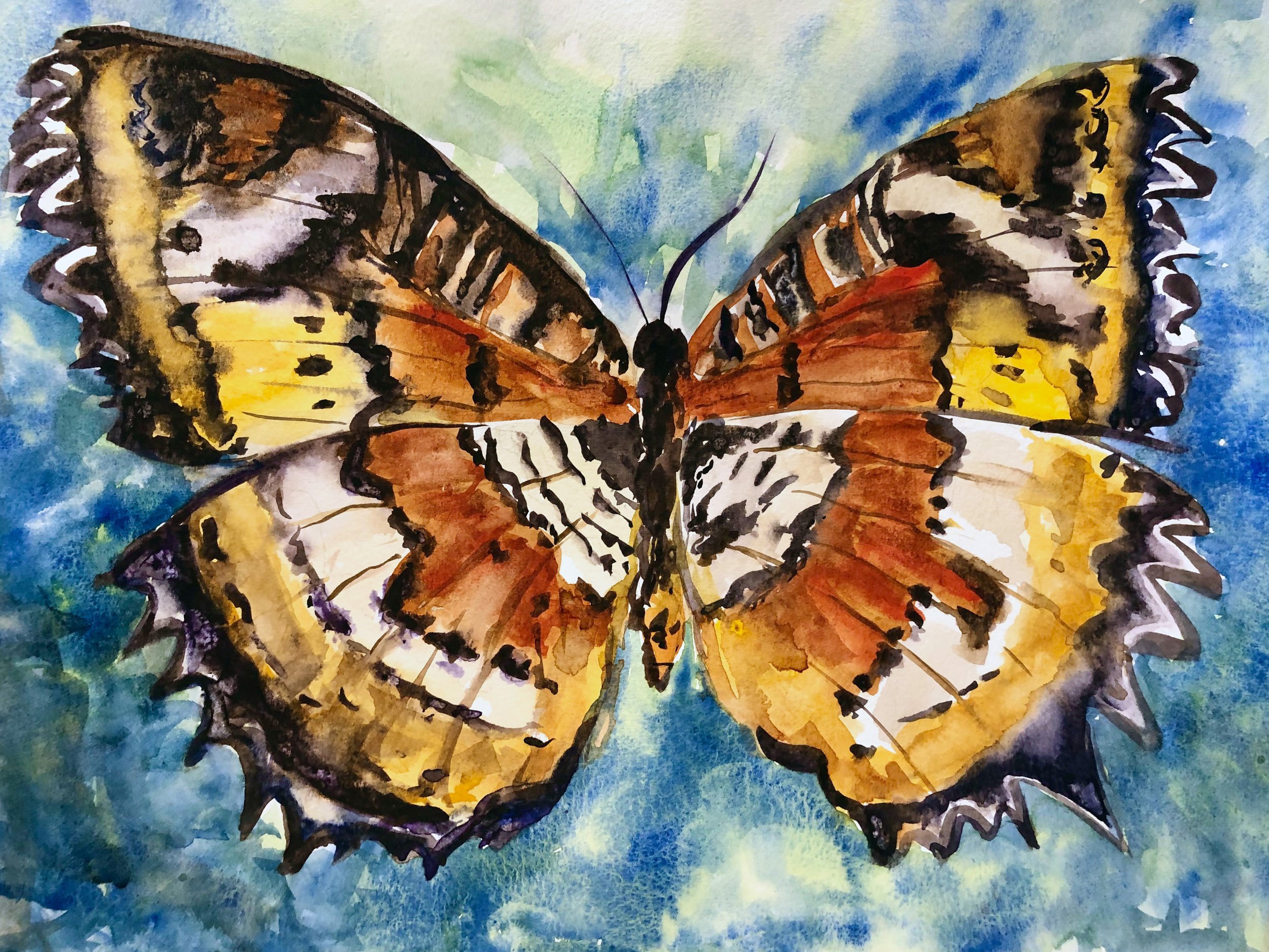 134.2022 Butterfly Close-up.jpg