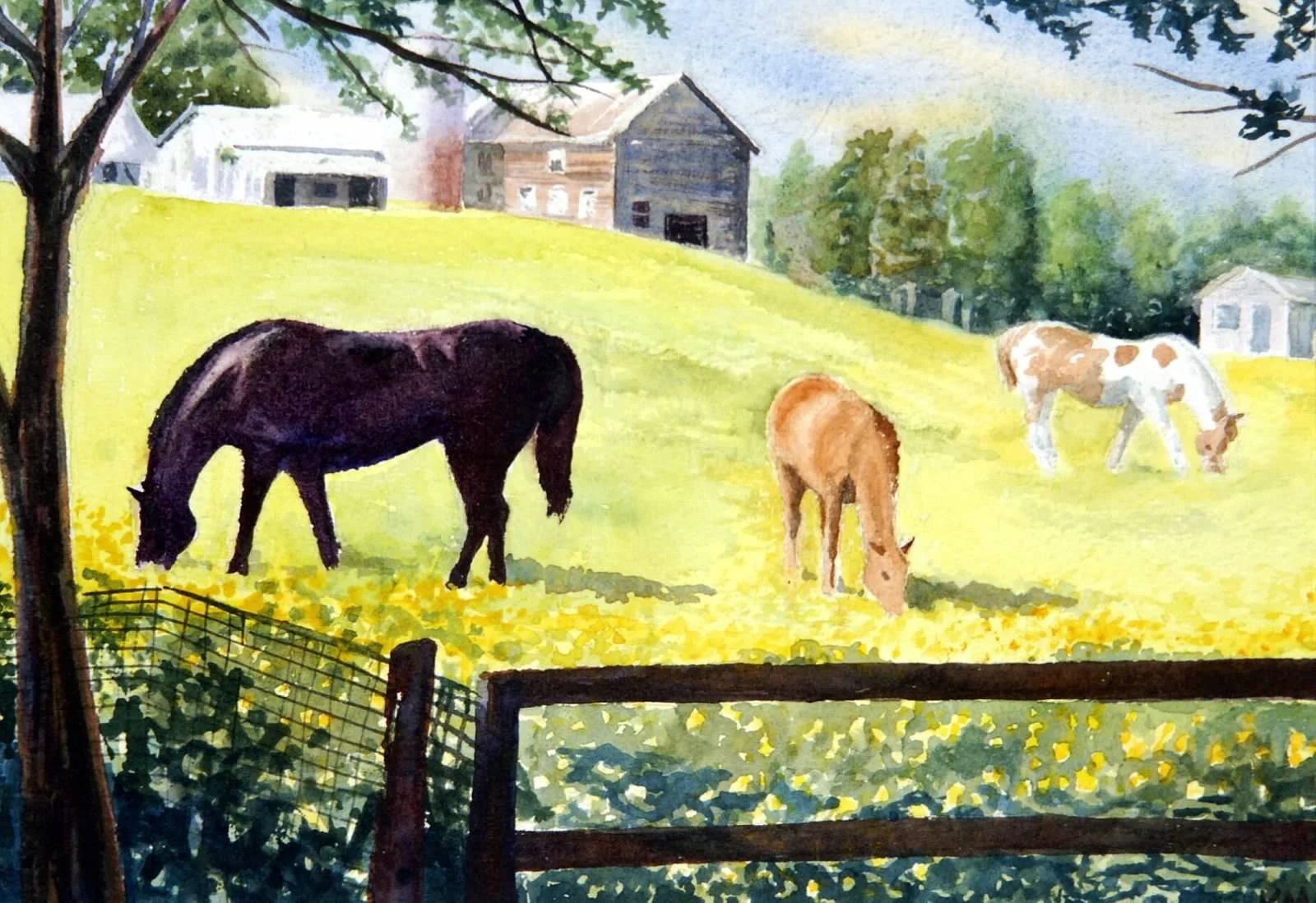 32.2010 Horses in Yellow Field.jpg