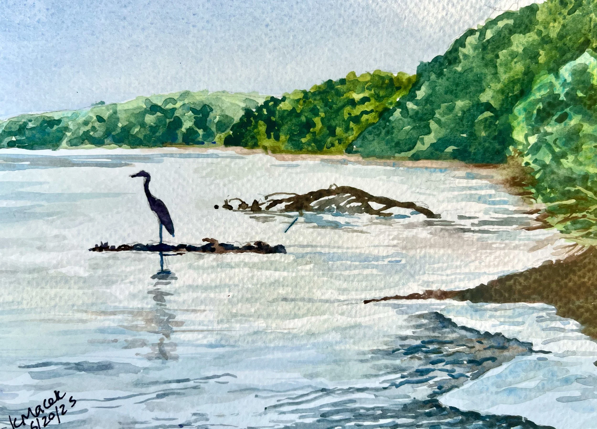 186.2025 Heron.jpg