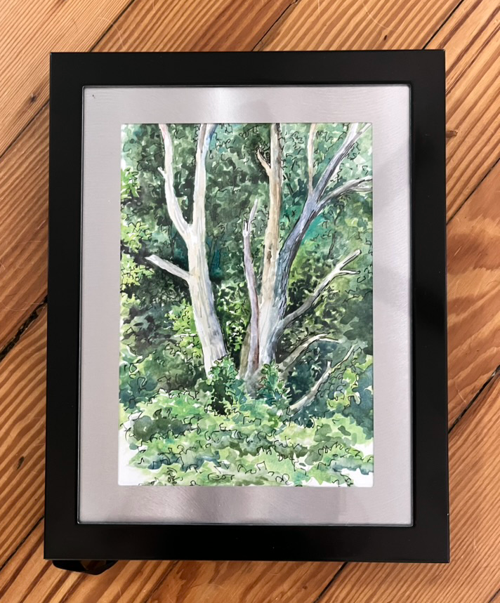 169.2024 Vulture Tree ()frame).png