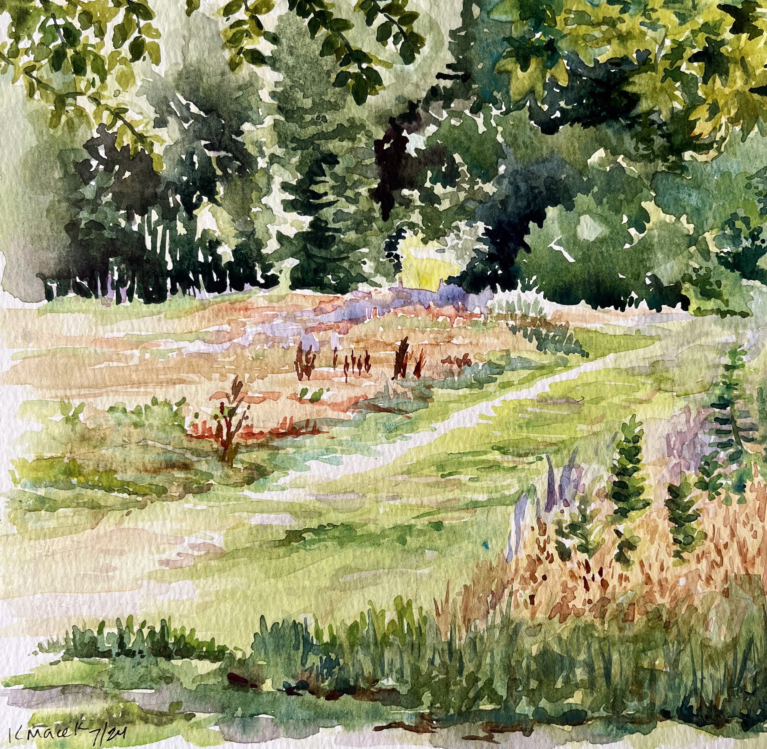 163.2024 Across the Meadow.jpg