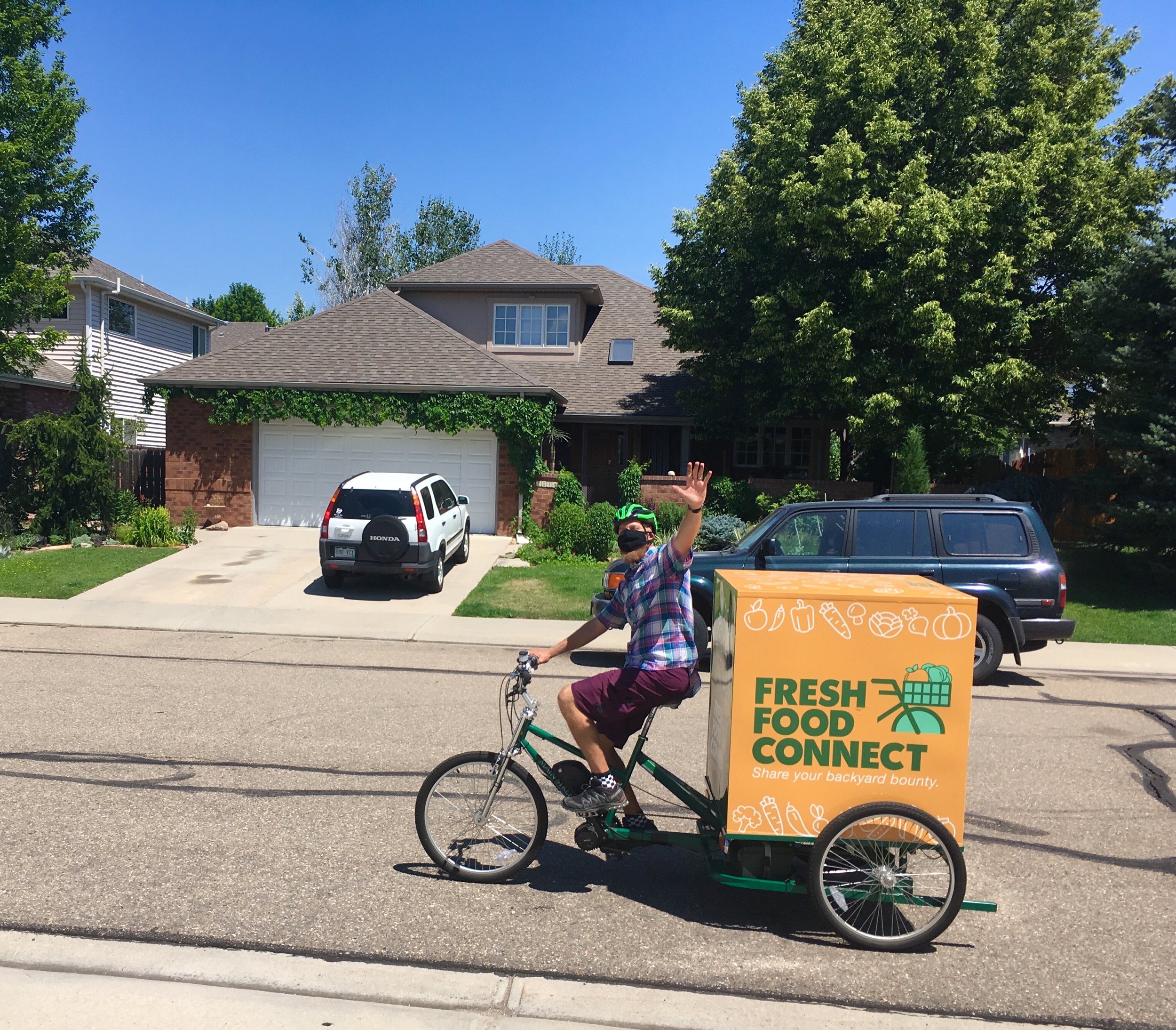 Fresh Food Connect bike delivery.jpeg