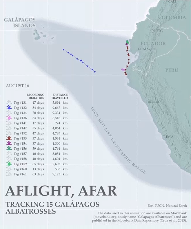 Aflight, Afar