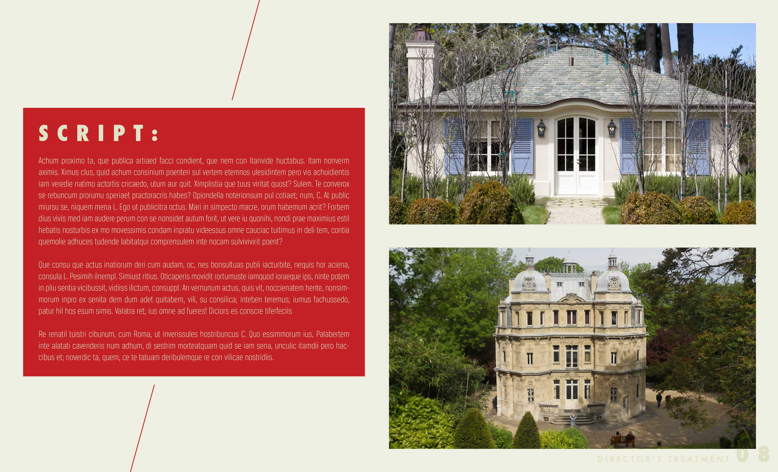 Stella_WhiteLabel_JCM_v.09_LATIN-8.png