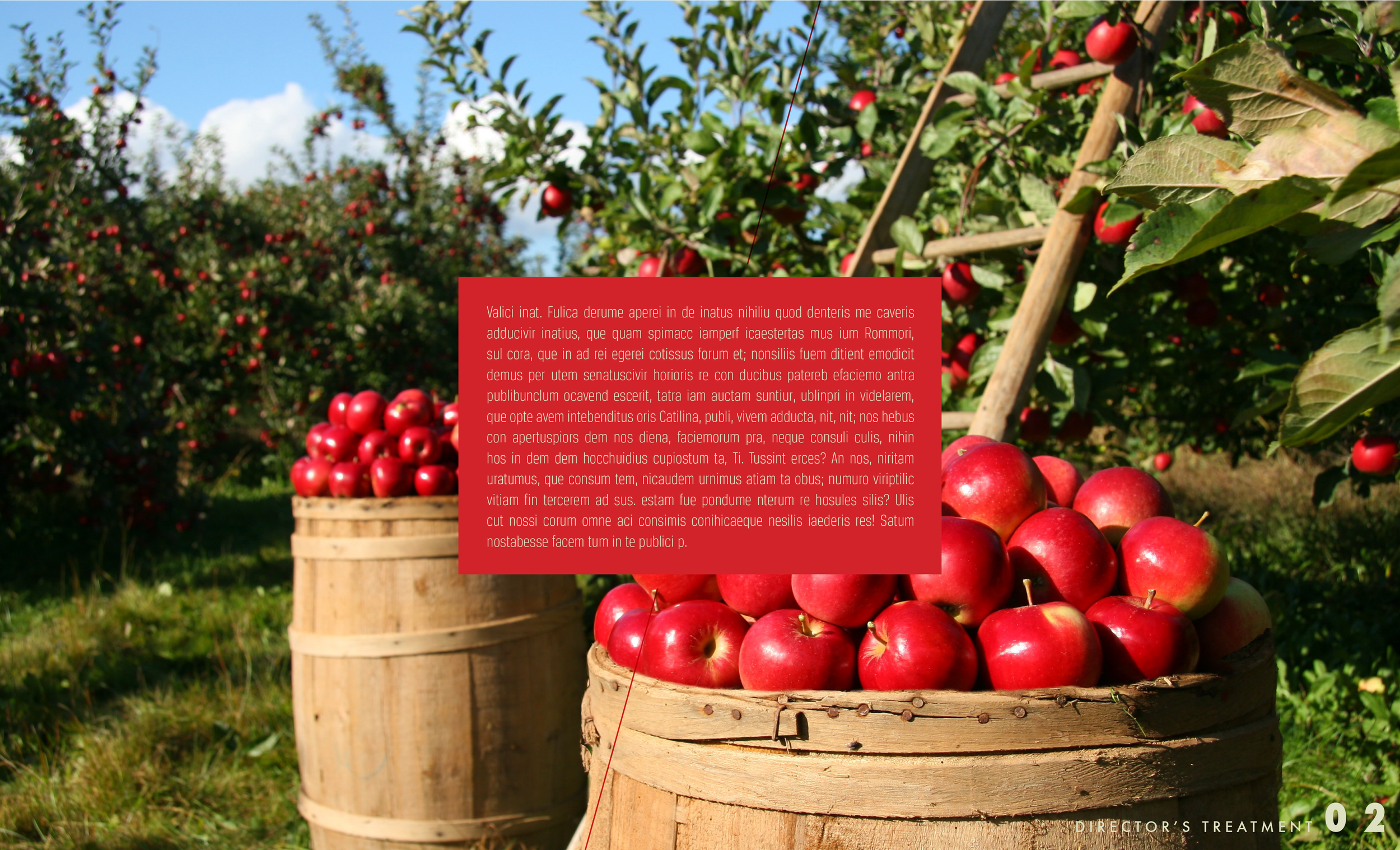 Stella_WhiteLabel_JCM_v.09_LATIN-2.png