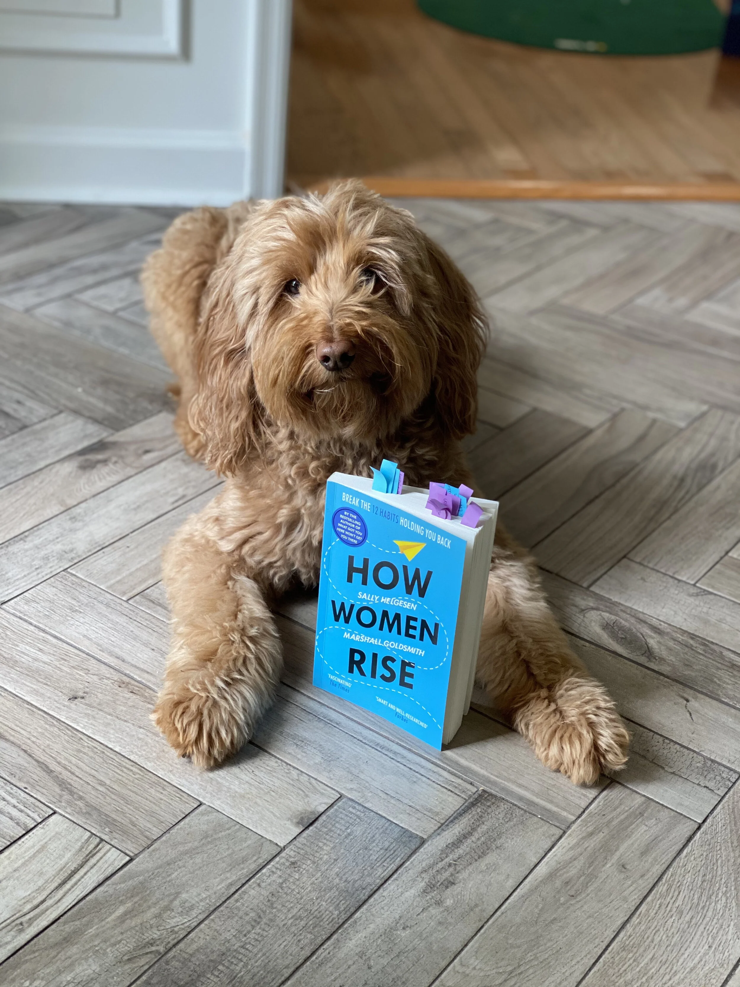 Book Review: How Women Rise