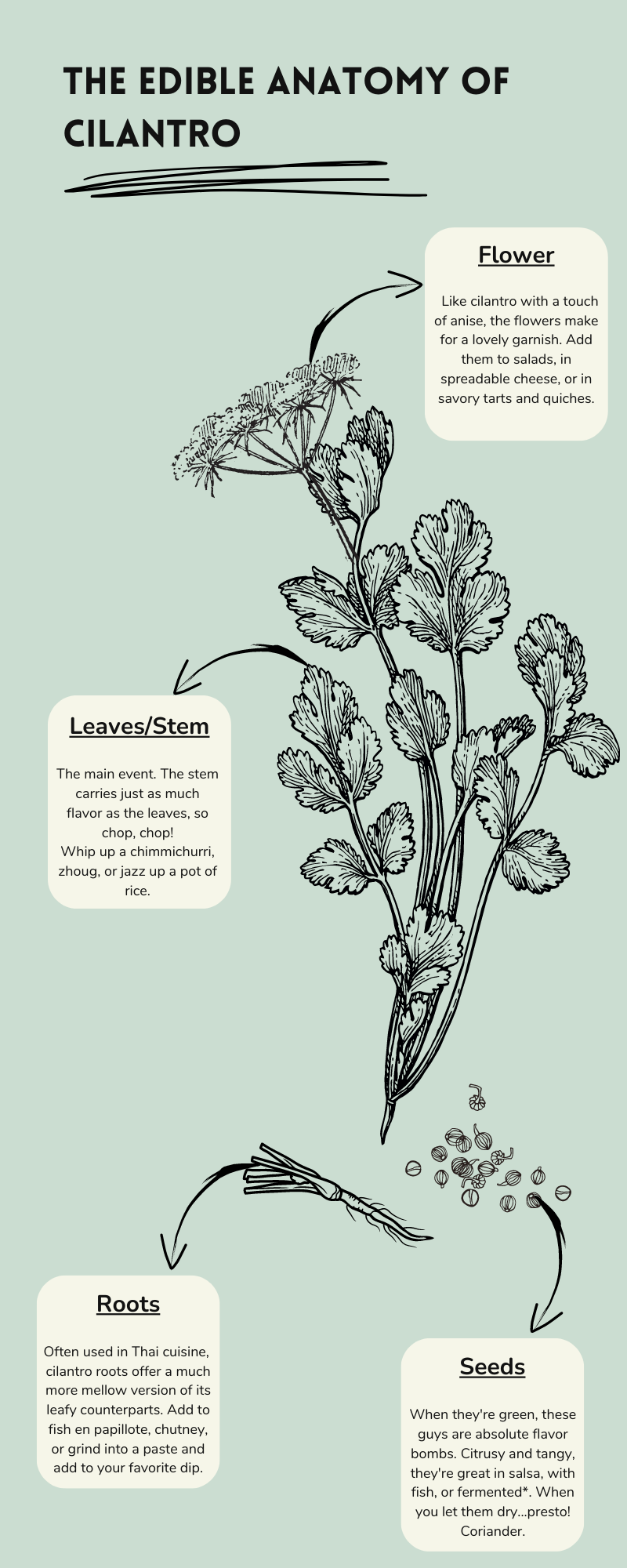 Root-to-Seed — Stones Throw Farm