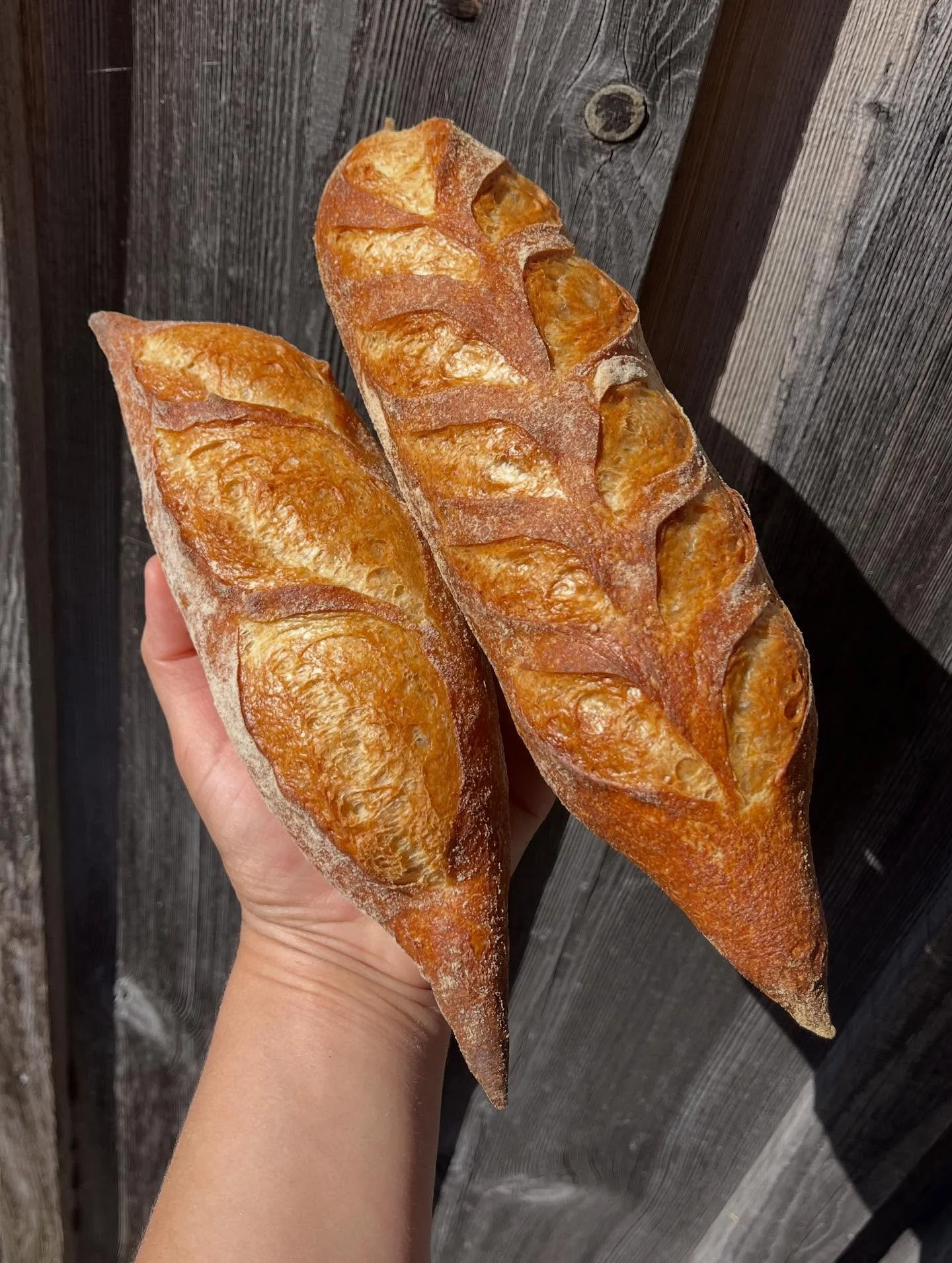 🥖D-Bags are BACK! &hellip;as in, Demi-Baguettes are BACK!!🥖 Perfect for the last picnics of the season&mdash; headin down to the store this afternoon, so come on by 🤘