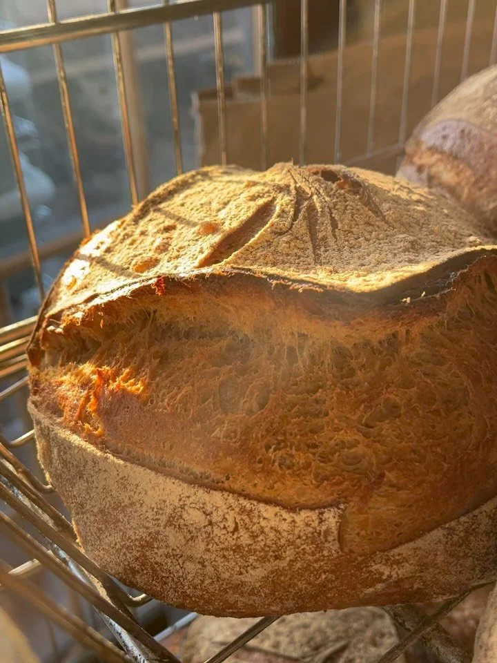 Gooooooood morning! Chef Stef at the peel today, busting out beautiful loaves! ✨✨✨