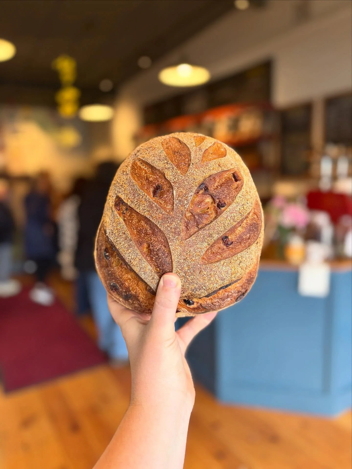 🚨Cranberry Fennel Sourdough is back!!🚨 

For those that have been asking, it&rsquo;s finally here for this week and next! We&rsquo;ve also got Olive Levain and Rosemary Polenta in our rotation.