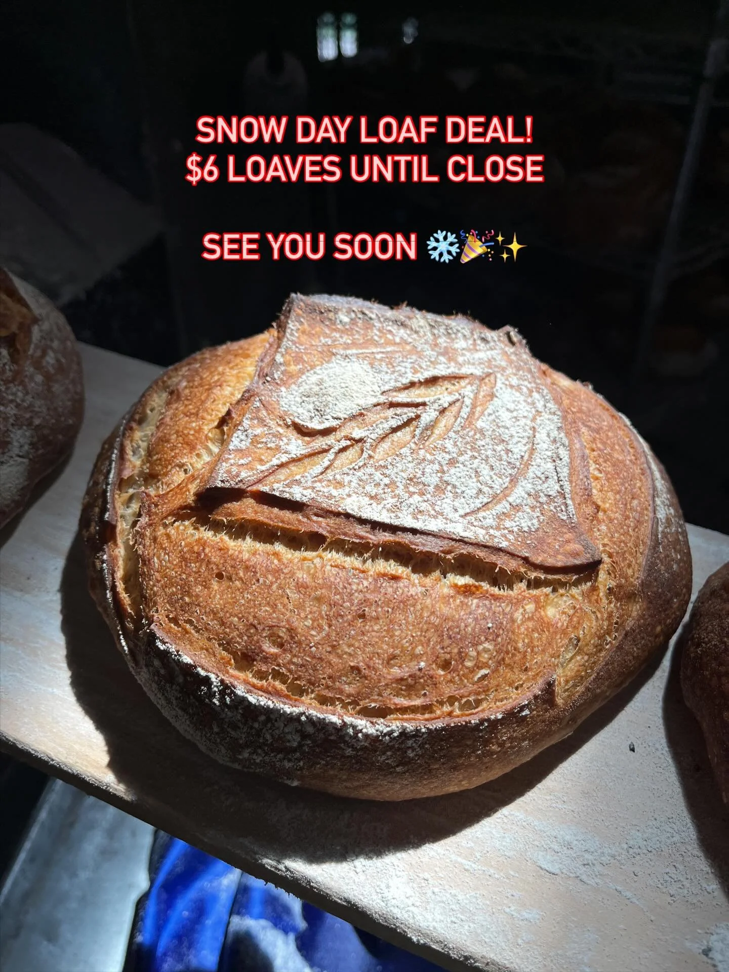 Don&rsquo;t fear the snow!!! To reward your bravery if you leave your house, we are offering $6 loaves until the end of the day. 🤝💥