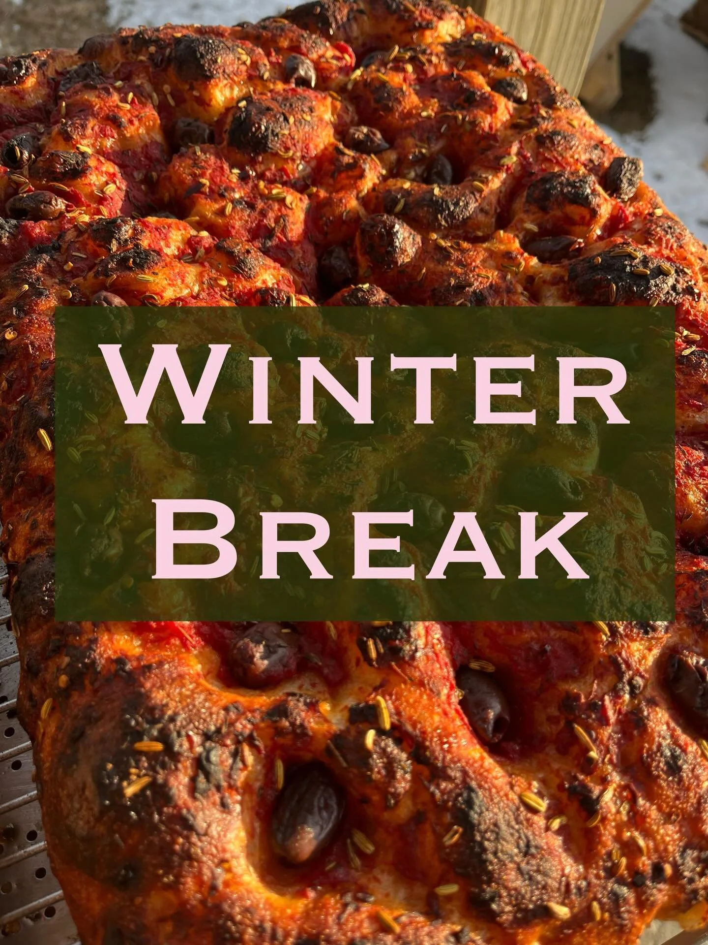 ✨🌲ALERT!🌲✨ We will be taking a much-needed rest, rolling in the snow, and fixing things up around the bakery from Dec 21st-Jan 13th.  That means Saturday the 20th is your last day to get bread &amp; treats for the holidays, and that we will be back