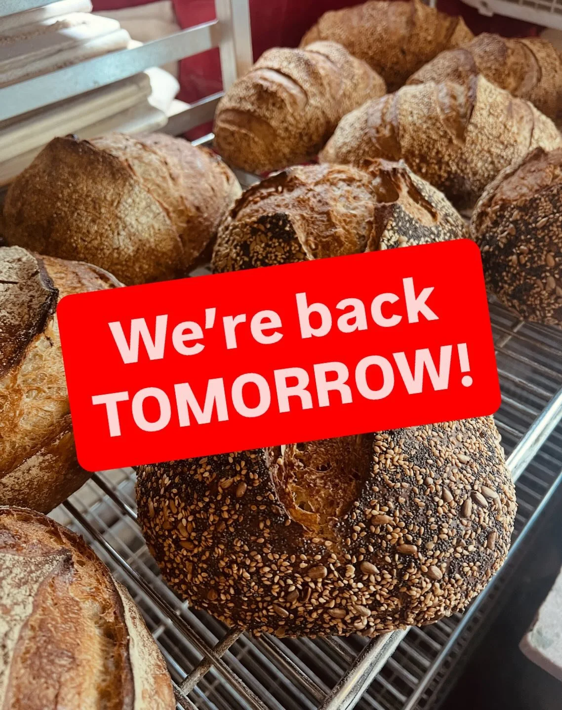 Our bakers have had a well-deserved rest, the bakery got some TLC, and now we&rsquo;re ready to bake! 🤩🌅🥖🎉

Stop by the store tomorrow, 11-6, to grab long-awaited loaves of bread, pastries, cookies, brownies, and the rest of your favorites!