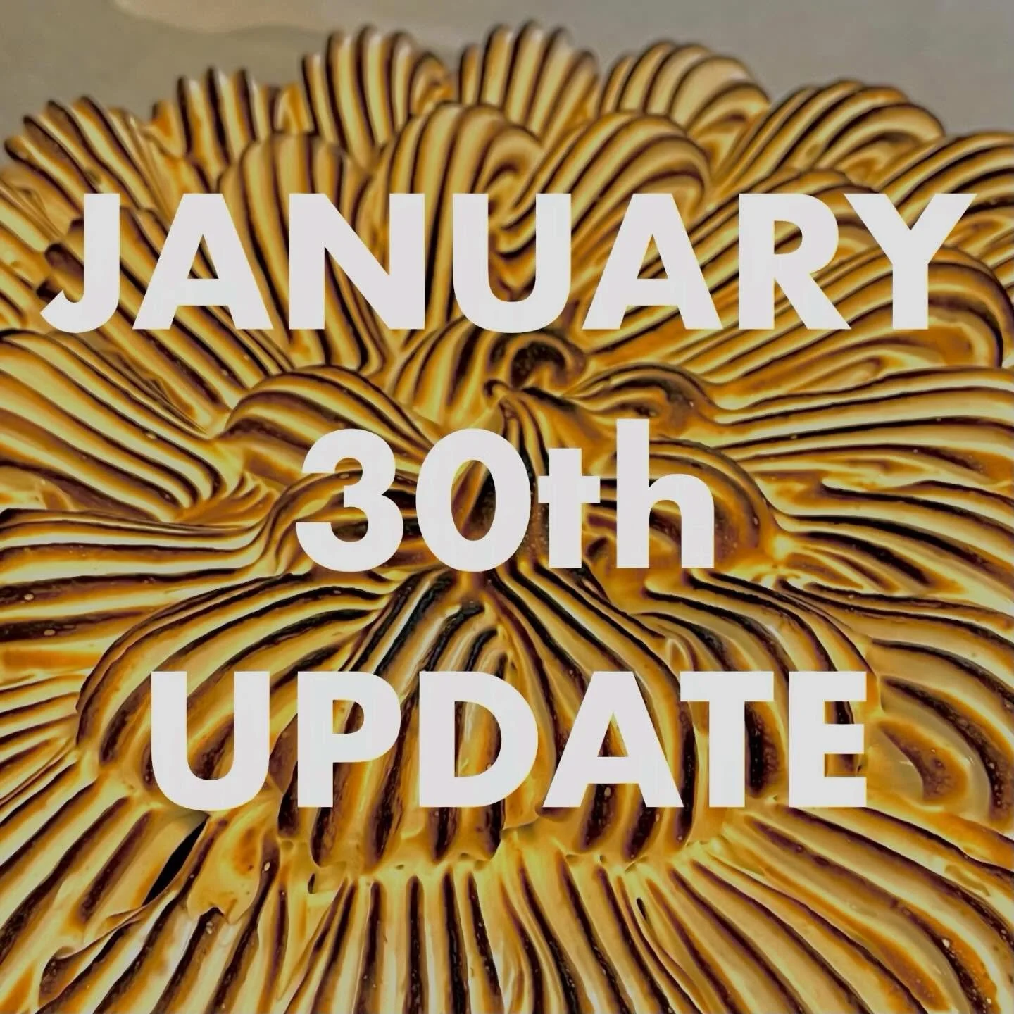 💥JANUARY 30TH UPDATE!💥

January 30th is a day of protest, resistance, and solidarity. 

We have decided to remain open, and we will donate all our profits from that day to the Immigrant Defense Network (@immigrantdefensenetwork ), a coalition of la