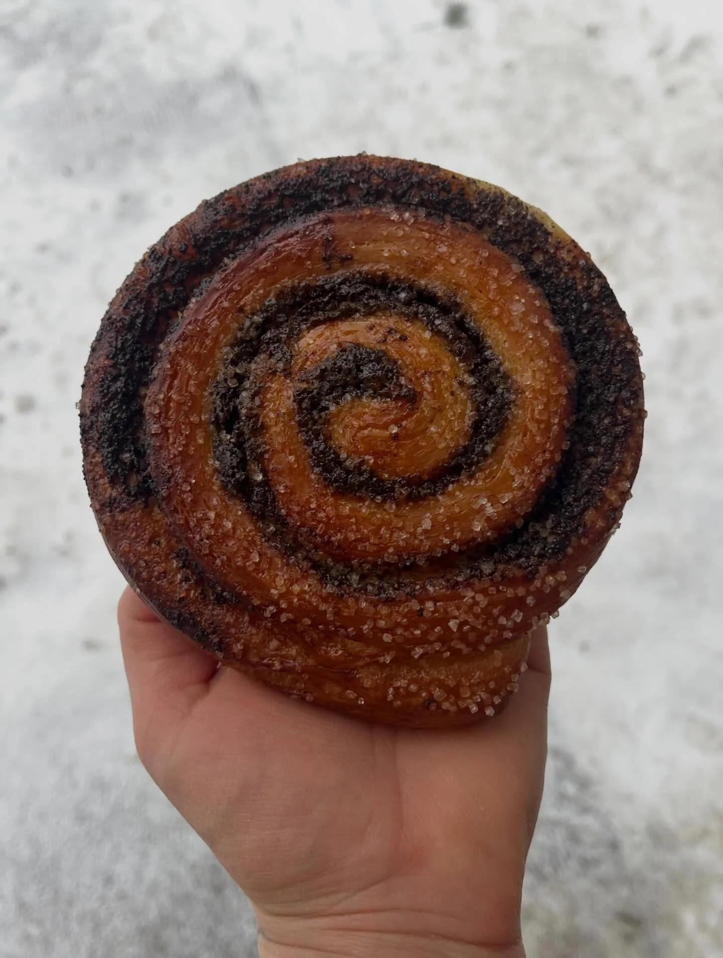 Today&rsquo;s staff snack of choice? M&ouml;hnshnecken!!! A deeply comforting, nutty swirl of sweet poppyseeds, nestled in between layers of flaky pastry dough.  Ideal with a cup of our coffee. 🌀🌀🌀🌀