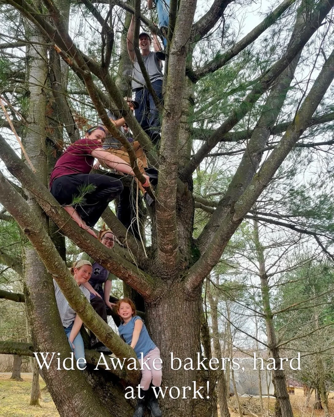 Always ready, always professional, our bakers are always climbing!