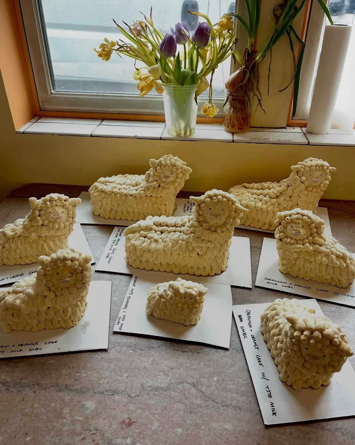 Swing by the store today for all your Easter needs! (Or just life needs, if Easter ain&rsquo;t your thing!) We are SUCKERS for spring, so the shelves are STOCKED with joyous seasonal goodies ✨🌱✨🪱✨🌱✨ lambies, princess cakes, brioche bunnies, galore