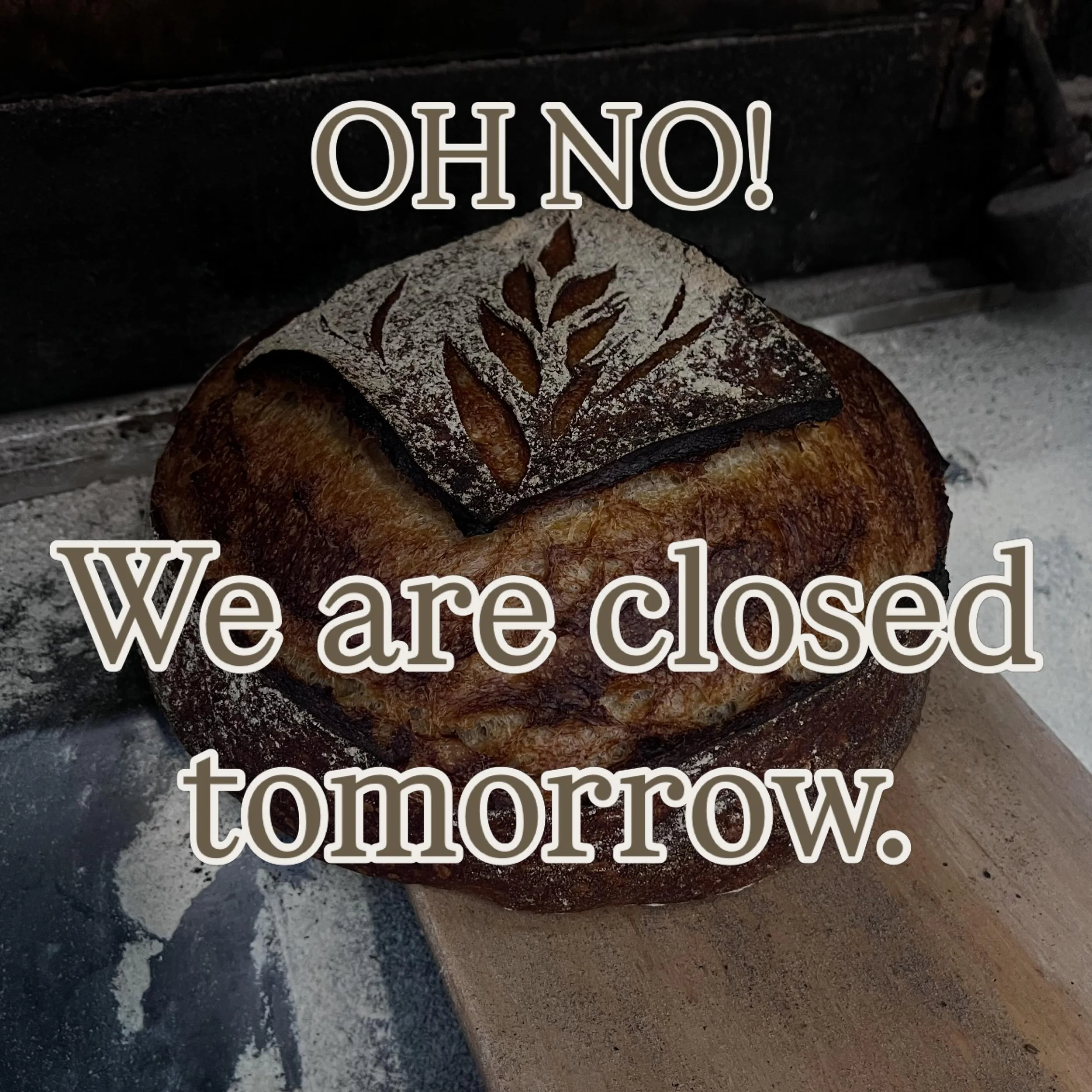 Dear fellow Bread Lovers&mdash; we will be closed tomorrow.  We are sorry for the short notice, and thank you for your understanding!! 
In the wee hours of the morning today, our 3-Phase electric generator bit the dust.  Alas, nearly all the machines
