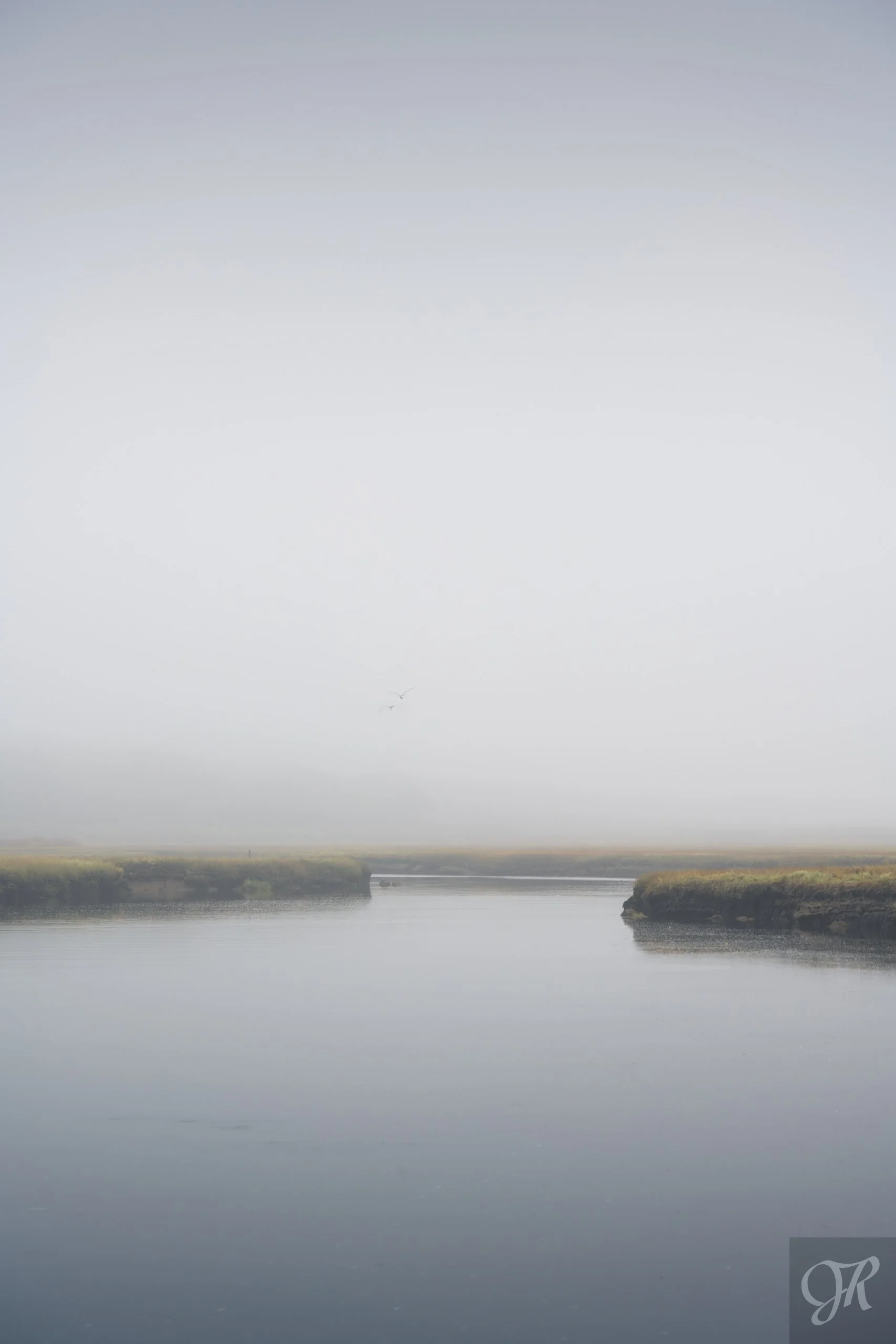  

 
 Misty Morning 
 
A pair of seagulls brave the early morning mist as they soar above Scorton Creek.
 

 
 Purchase Print 
 

 