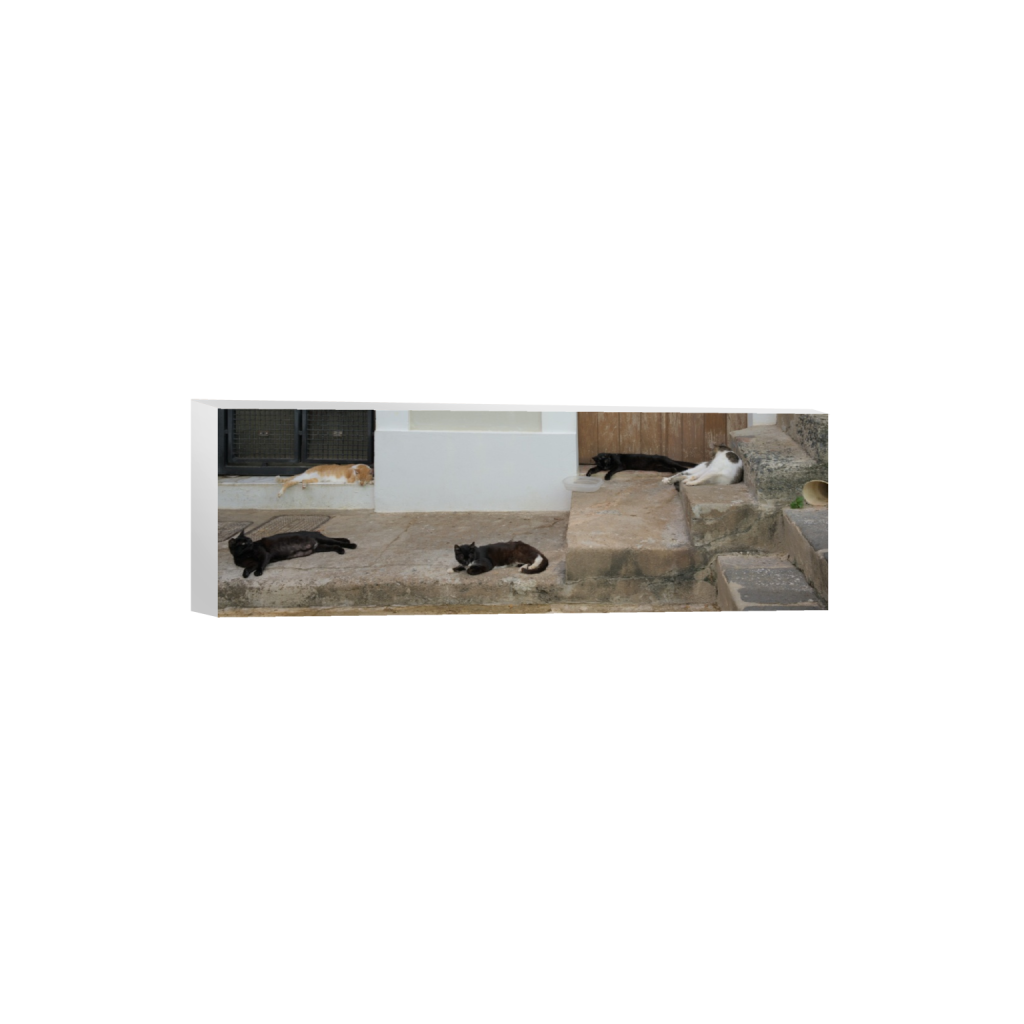 ptq_7_2_0_2287_7798_2599_0_false_ffffff_0_0_.png