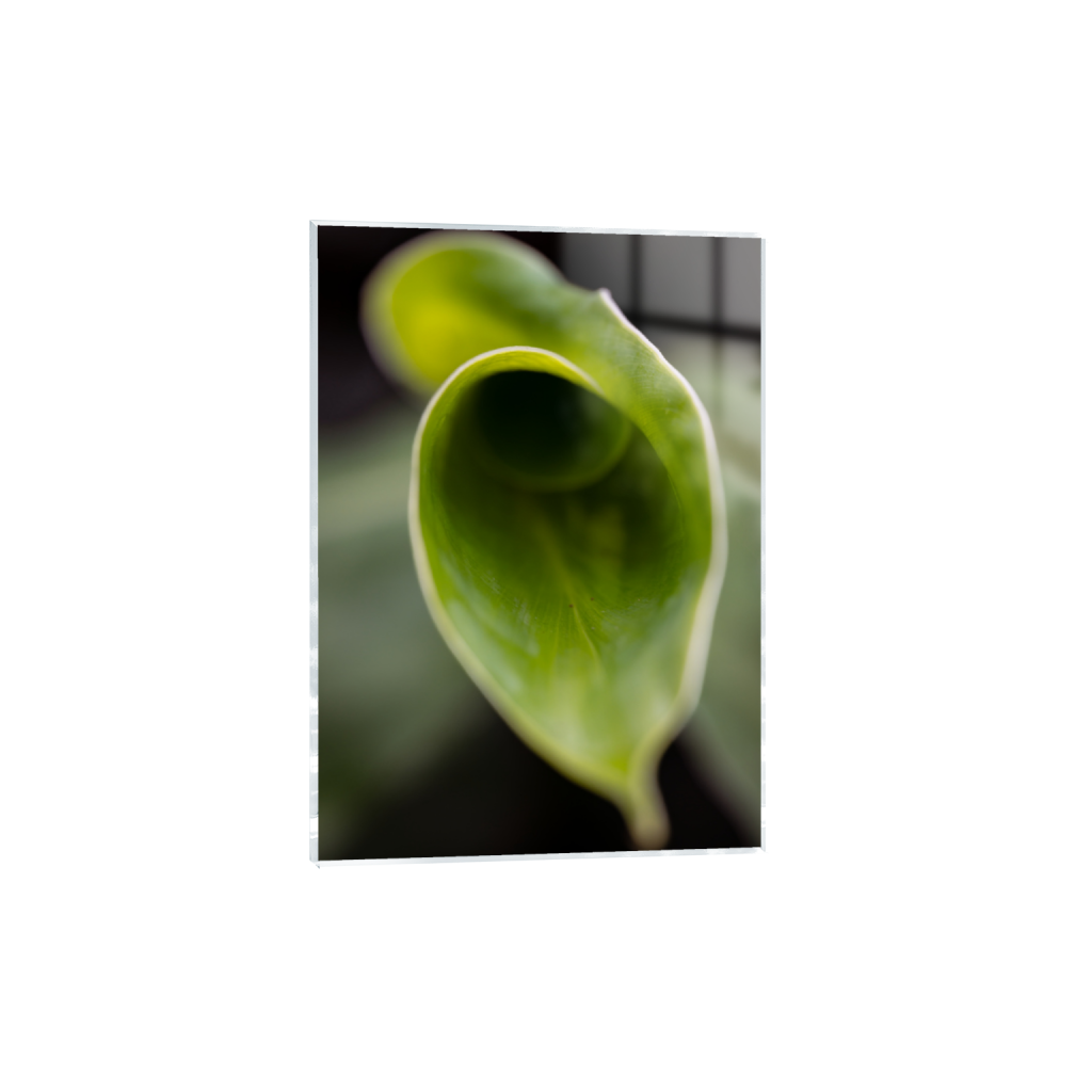 ptq_17_7_0_452_9046_12664_0_false_ffffff_0_0_.png