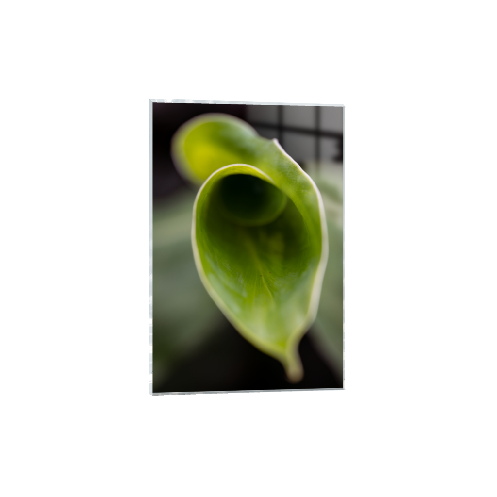 ptq_17_3_0_0_9046_13569_0_false_ffffff_0_0_.png