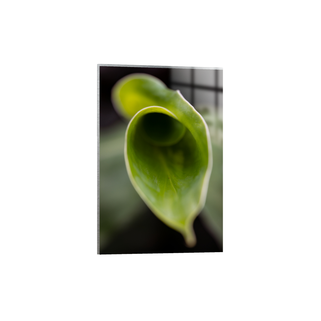 ptq_13_3_0_0_9046_13569_0_false_ffffff_0_0_.png