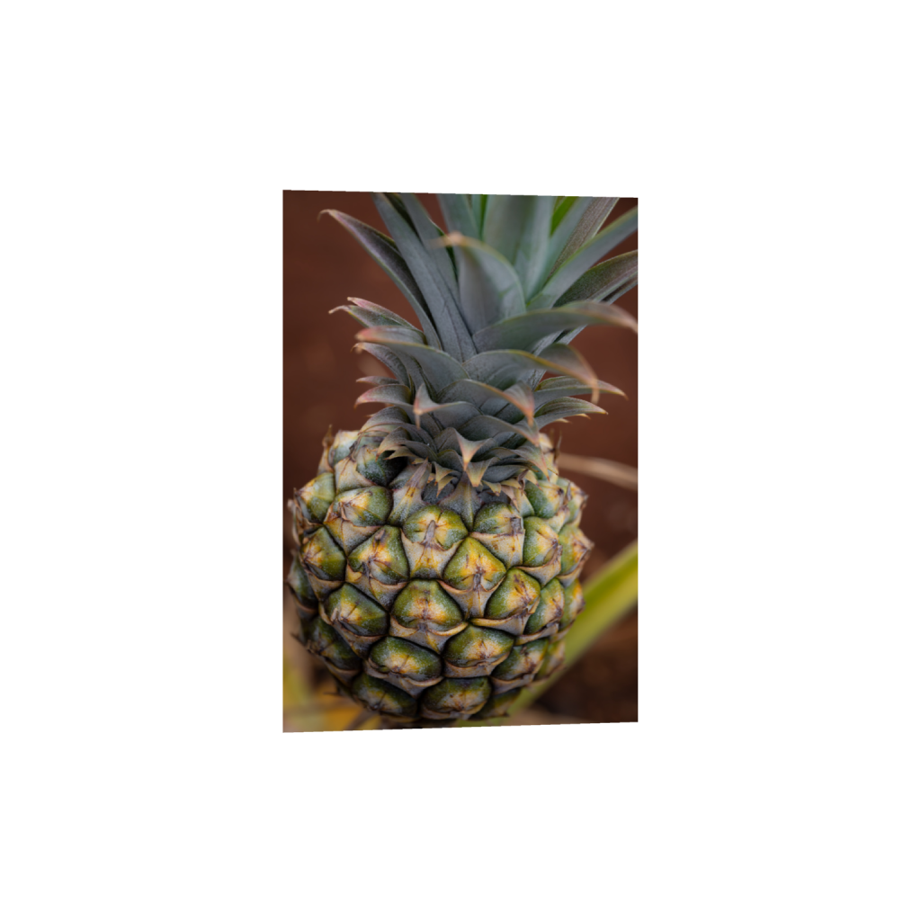 ptq_34_3_0_0_5504_8256_0_false_ffffff_0_0_.png